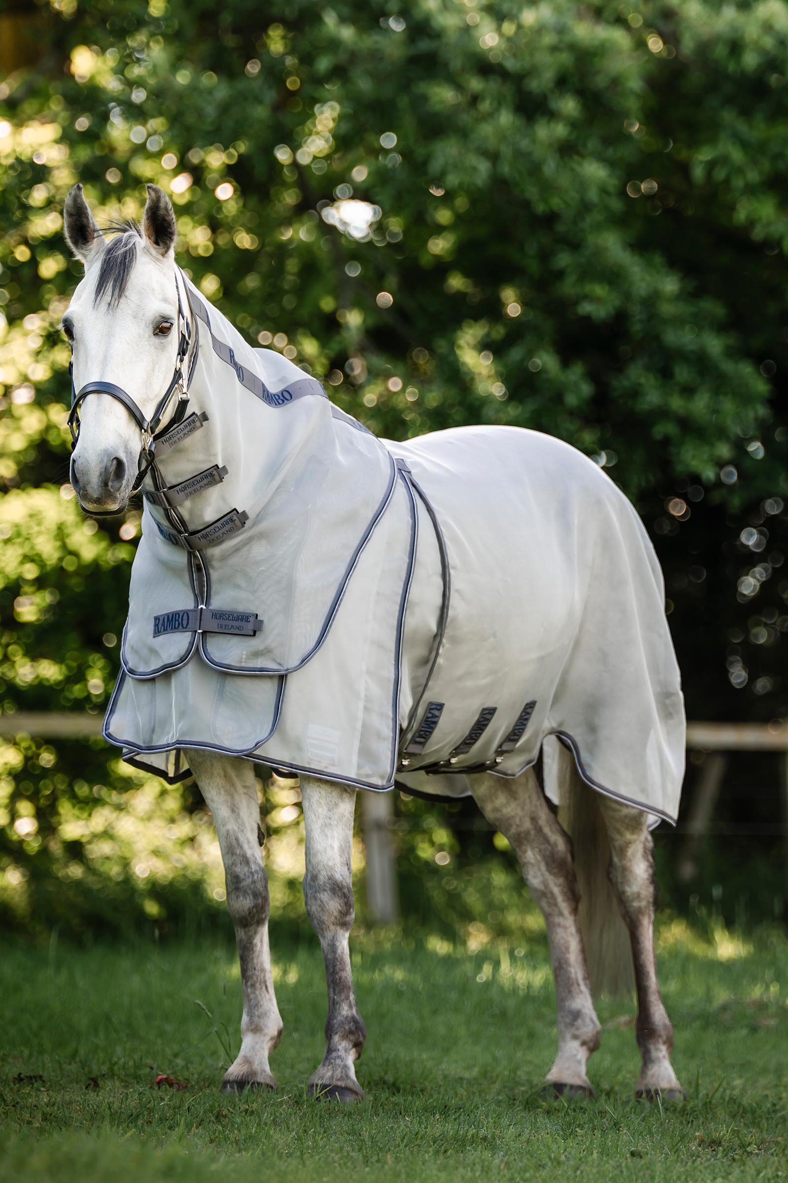 Horseware Rambo Optimo Protector Plus derka