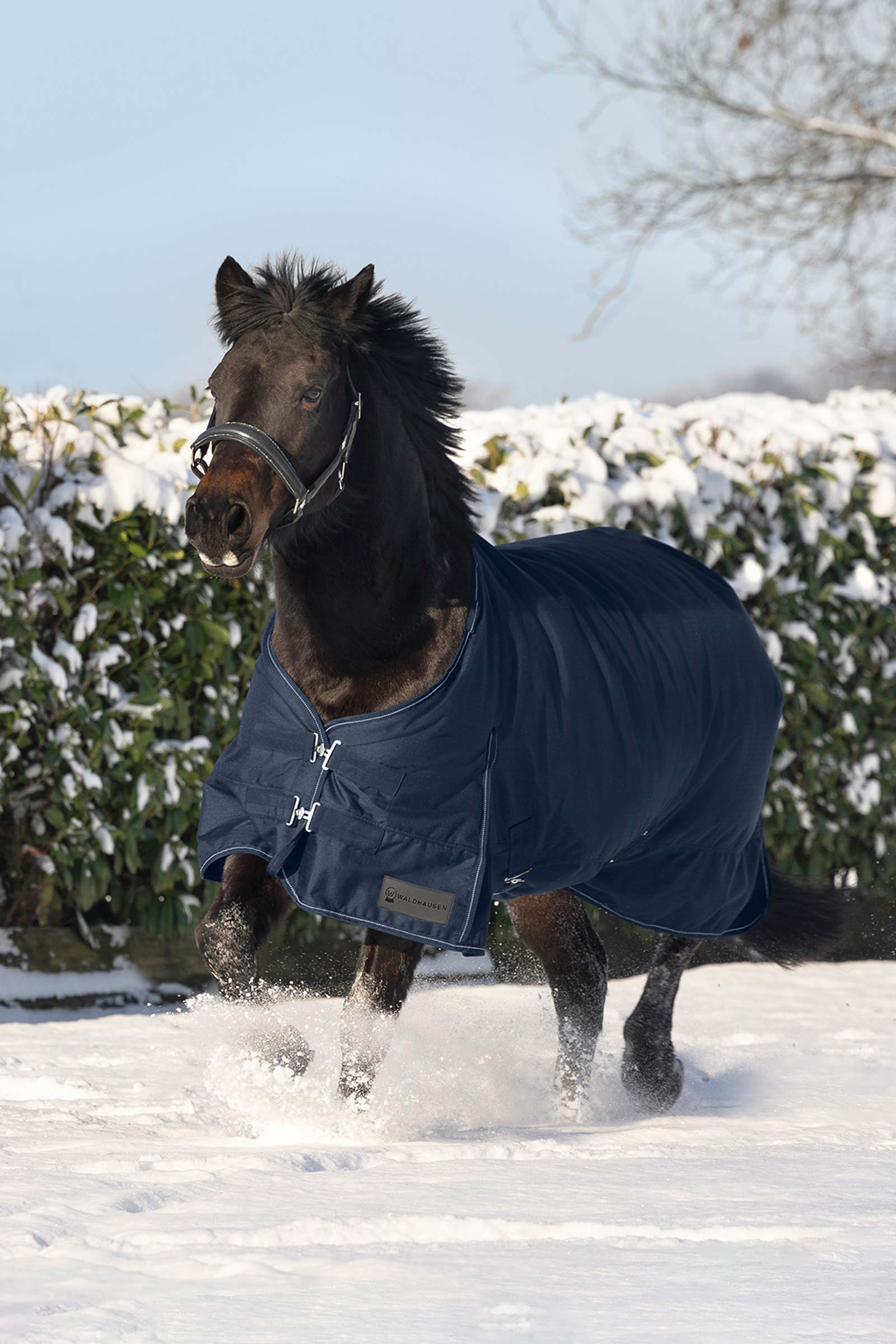 Waldhausen Nordic Derka padokowa, 200 g