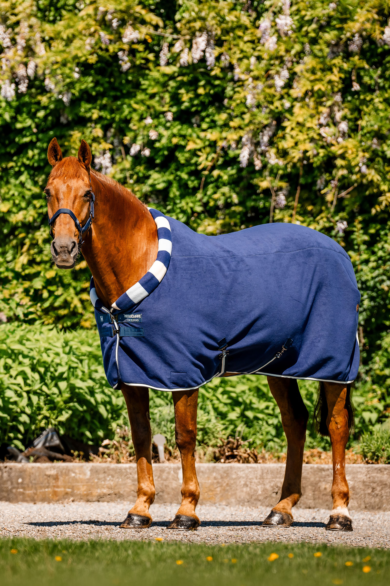 Horseware Newmarket Cosy Fleece Derka osuszająca