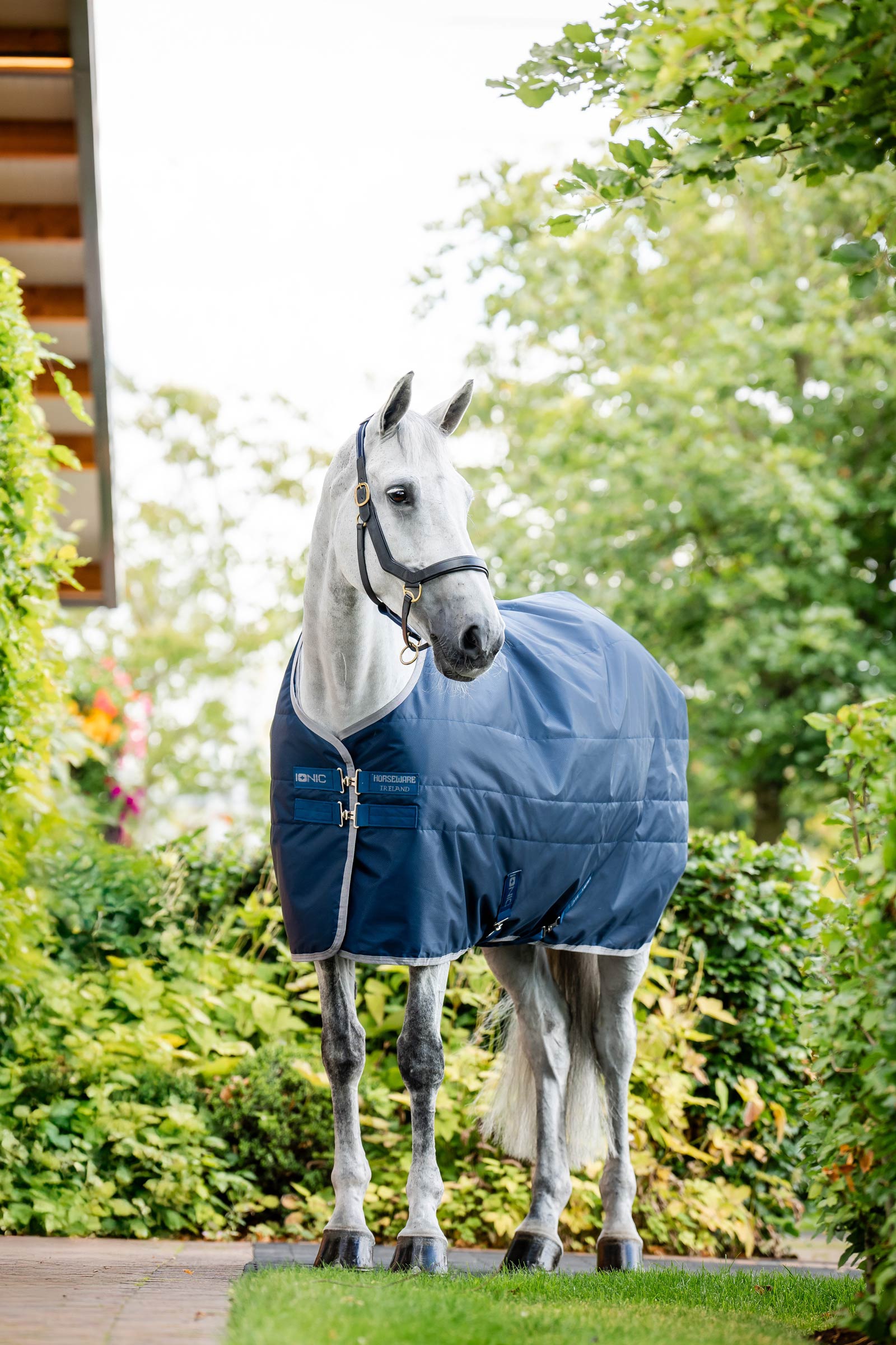 Horseware Ionic Therapy Derka stajenna, 50g