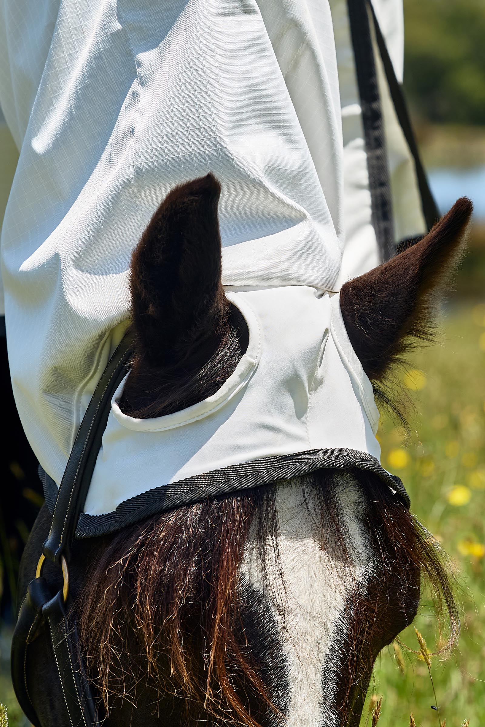 Weatherbeeta ComFiTec Sweet Itch Shield Derka przeciw muchom combo ze stałą szyją, 0 g  