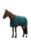 Weatherbeeta ComFiTec Classic Turnout Standard Neck 220G