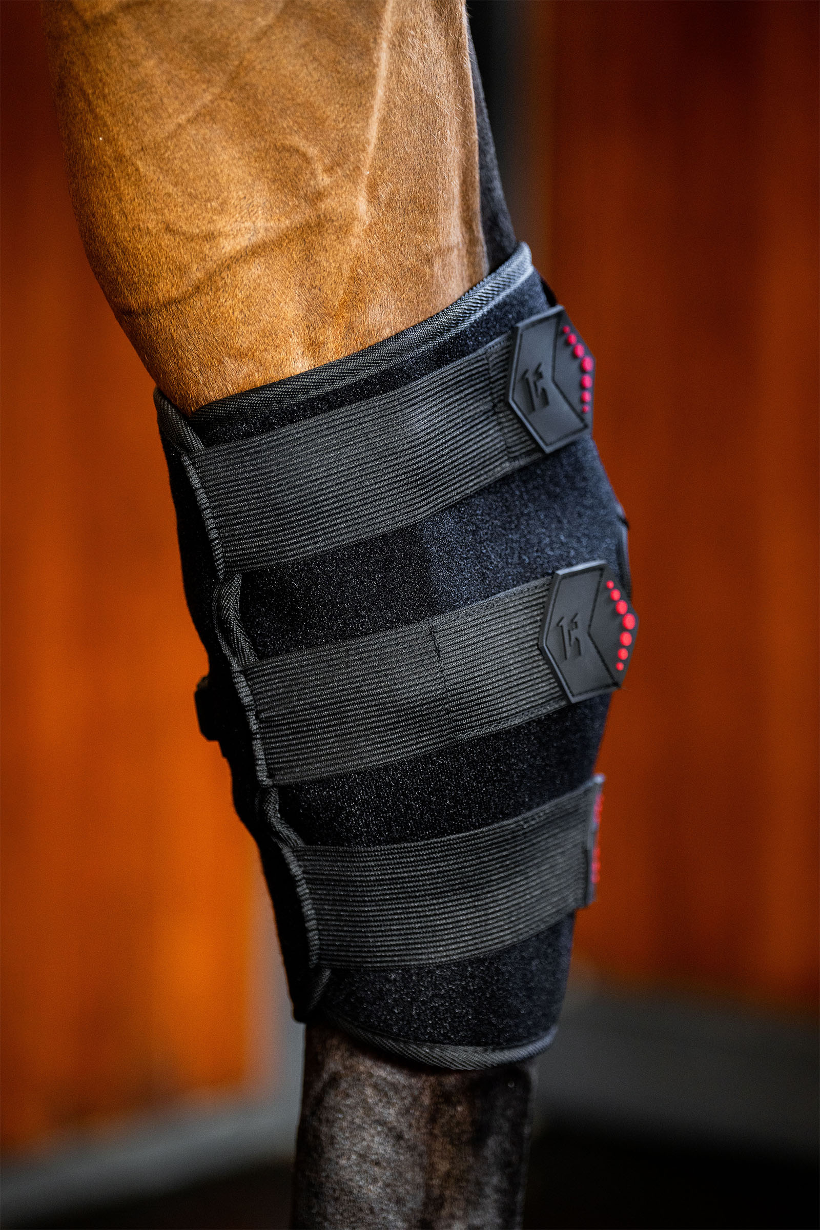 Horseware LED terapeutyczny ochraniacz na staw skokowy z czerwonym światłem (1 szt.)