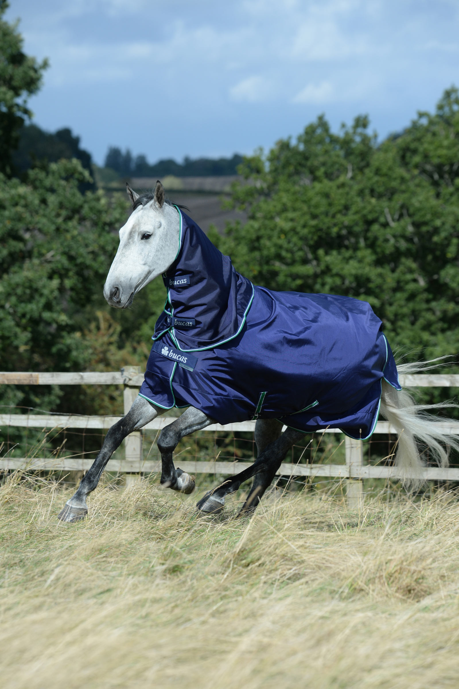 Bucas Smartex Szyja, 0 g