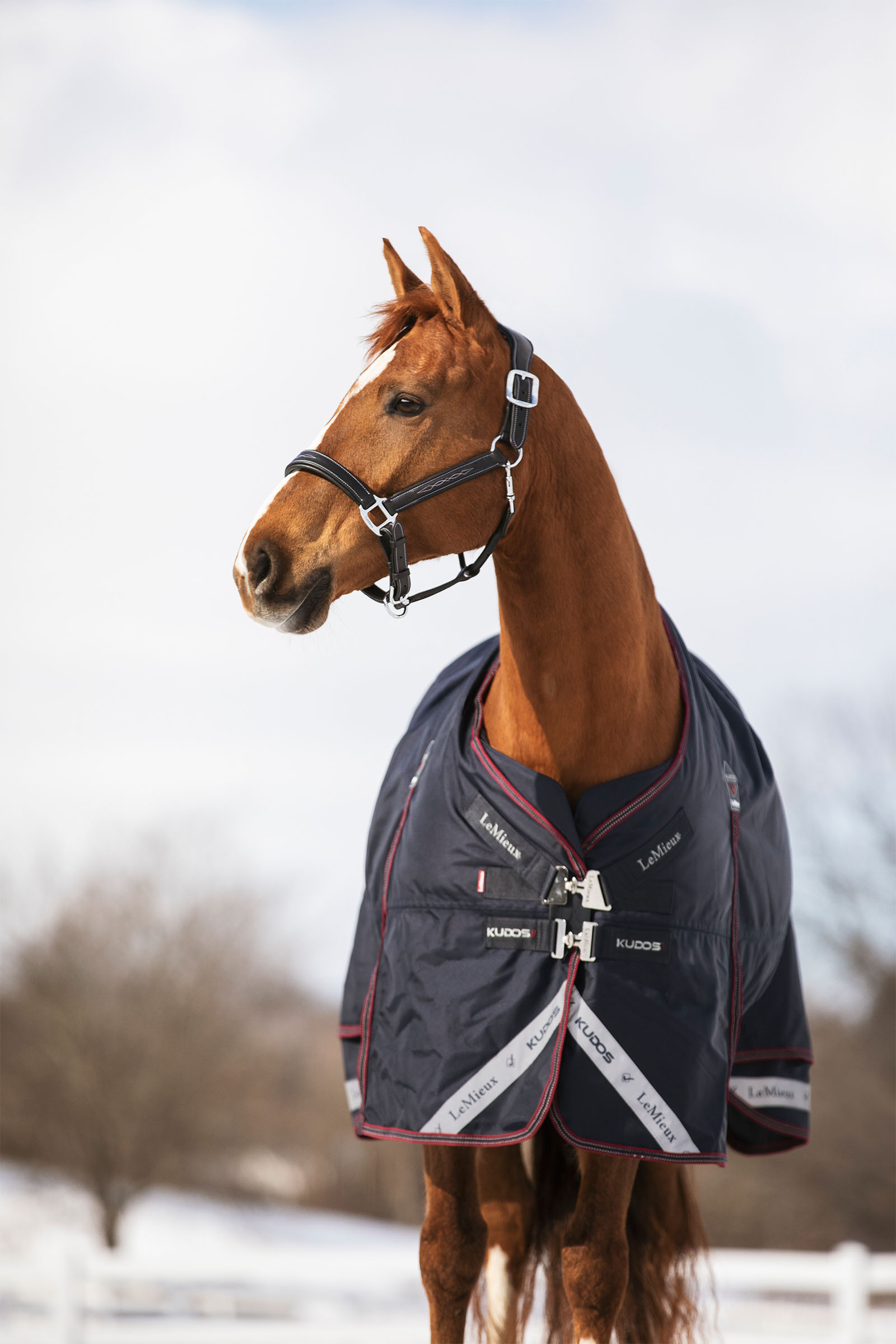 LeMieux Kudos derka padokowa 350g