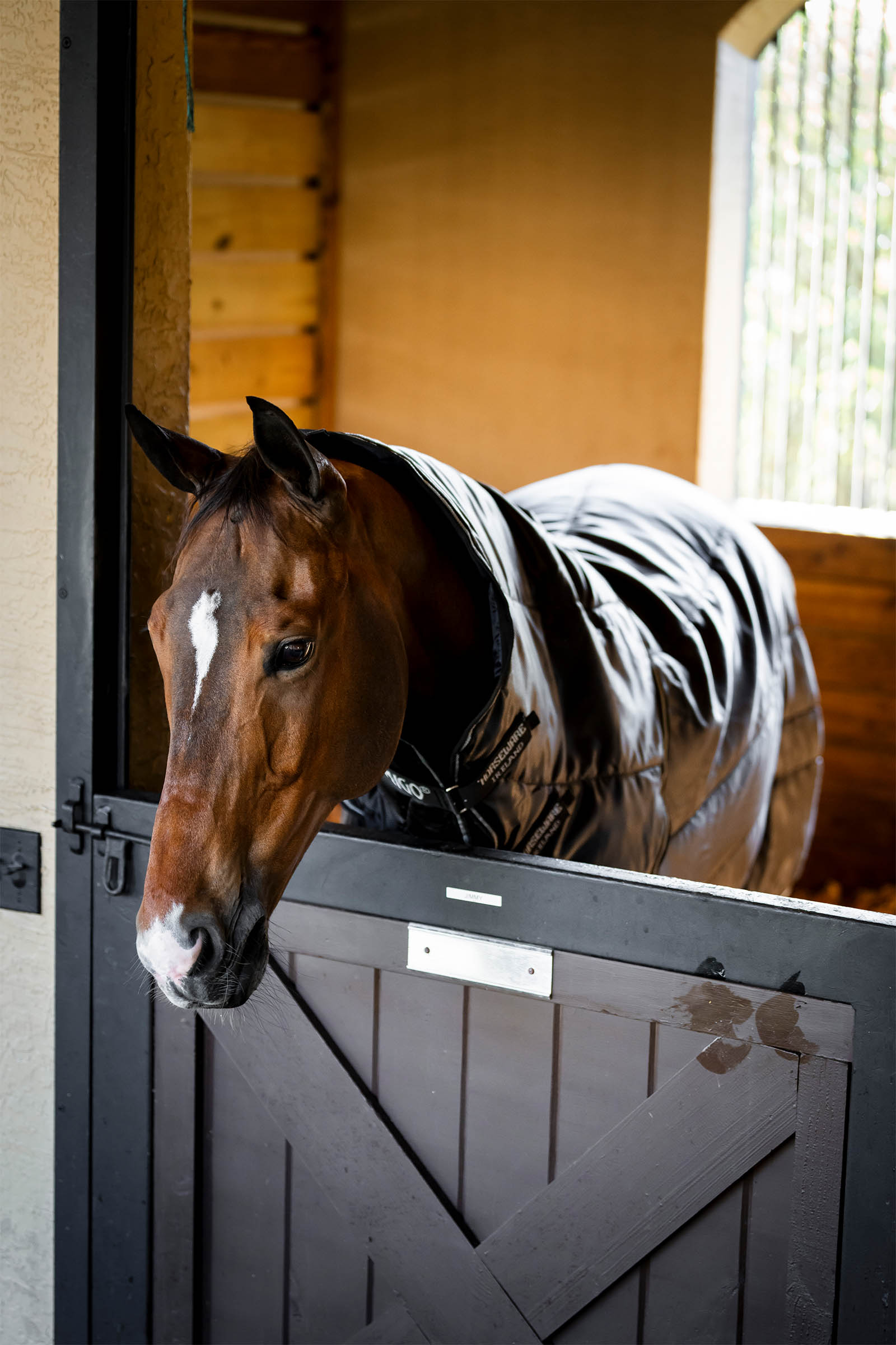 Horseware Amigo Ripstop Insulator Plus derka stajenna, 200 g