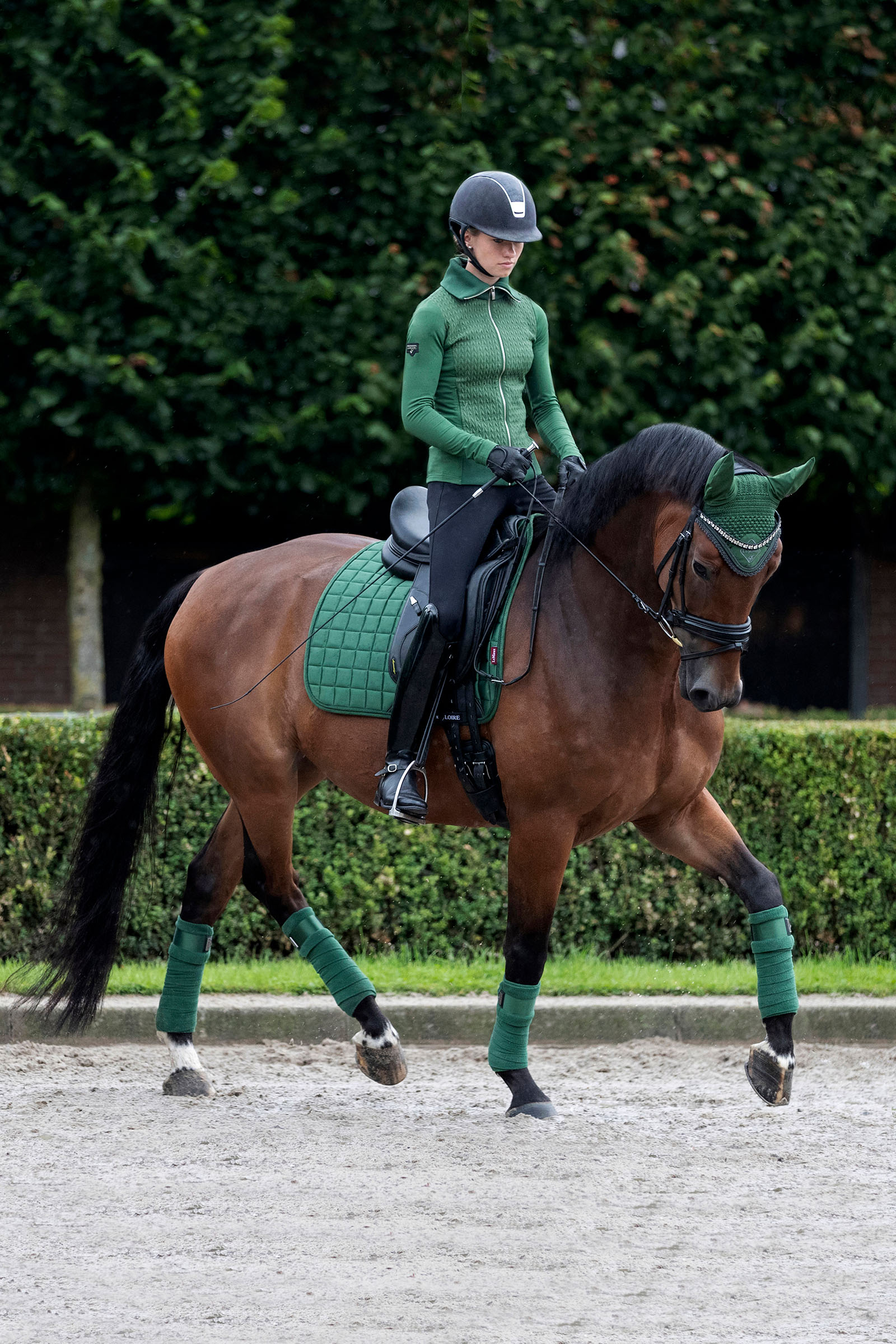 LeMieux Loire Classic czaprak ujeżdżeniowy