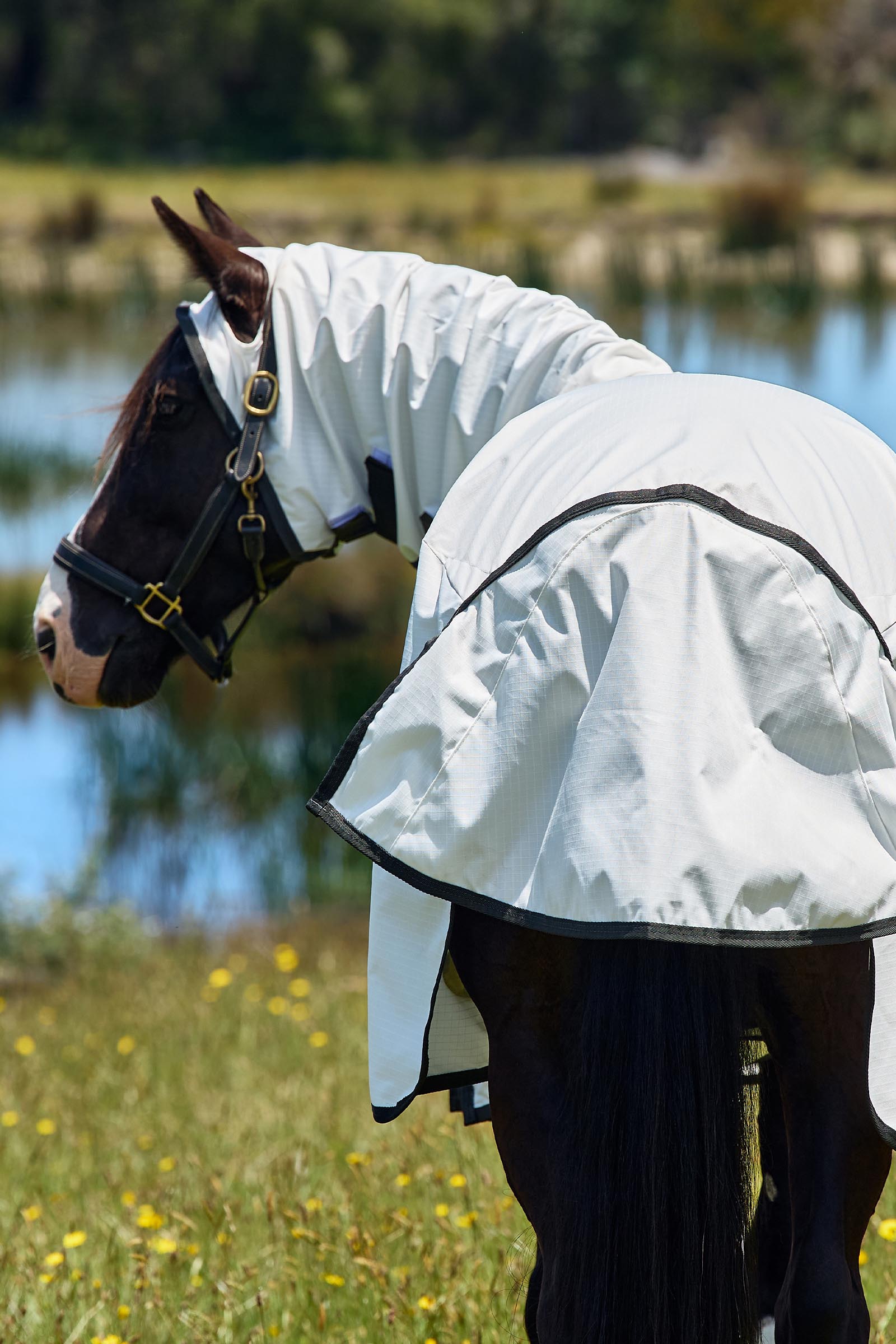 Weatherbeeta ComFiTec Sweet Itch Shield Derka przeciw muchom combo ze stałą szyją, 0 g  