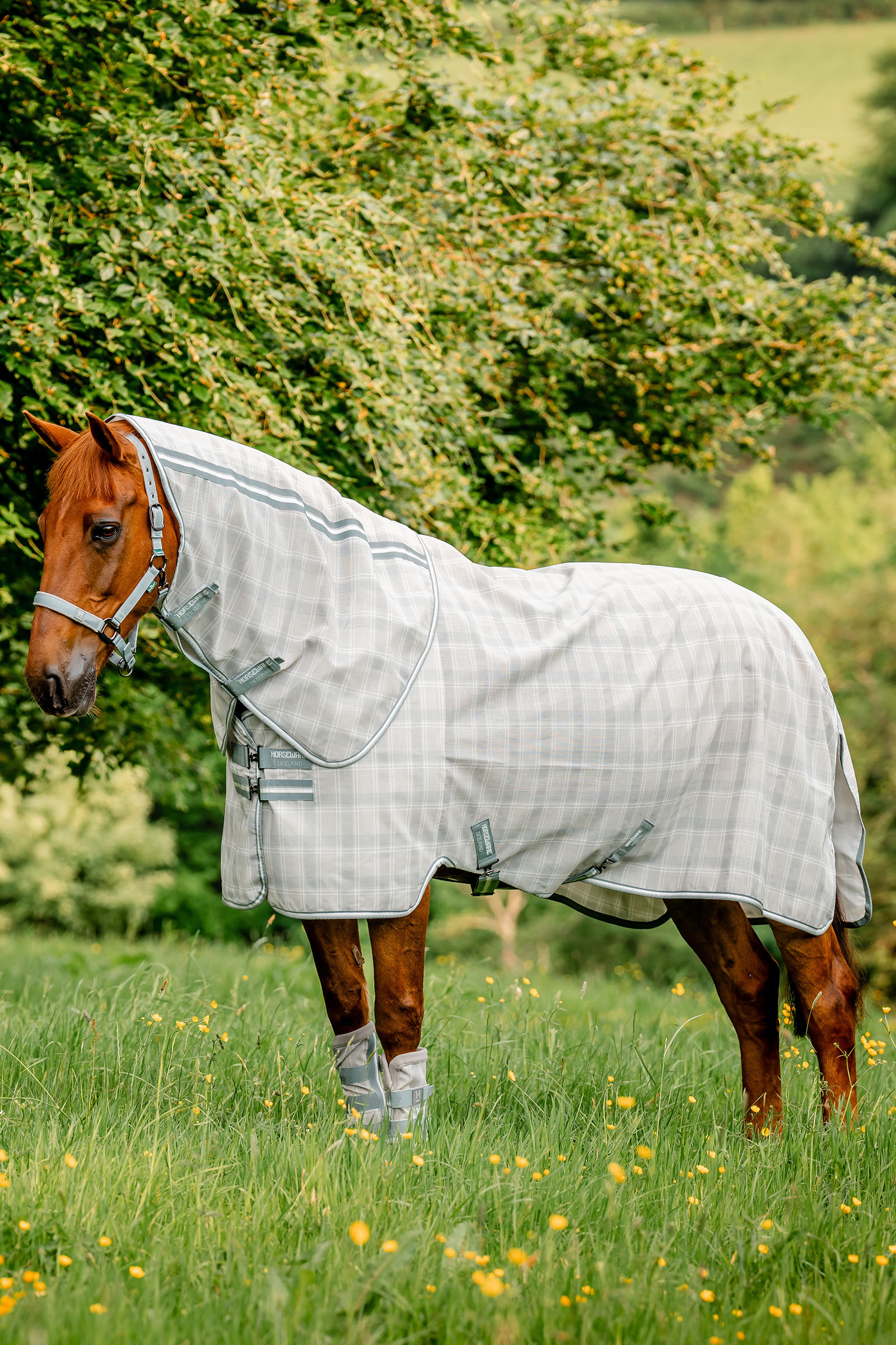 Horseware Newmarket Plus Derka przeciw owadom