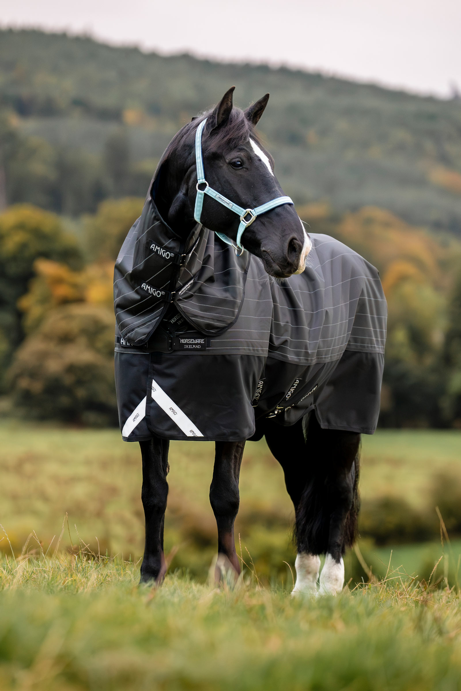 Horseware Amigo 1200D FieldSafe Reflectech Plus derka padokowa, 250 g