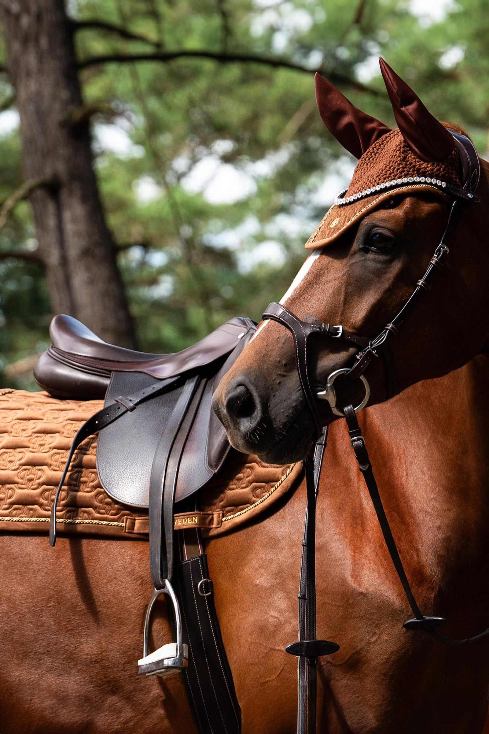 PS of Sweden czapraki Velvet Monogram skoki