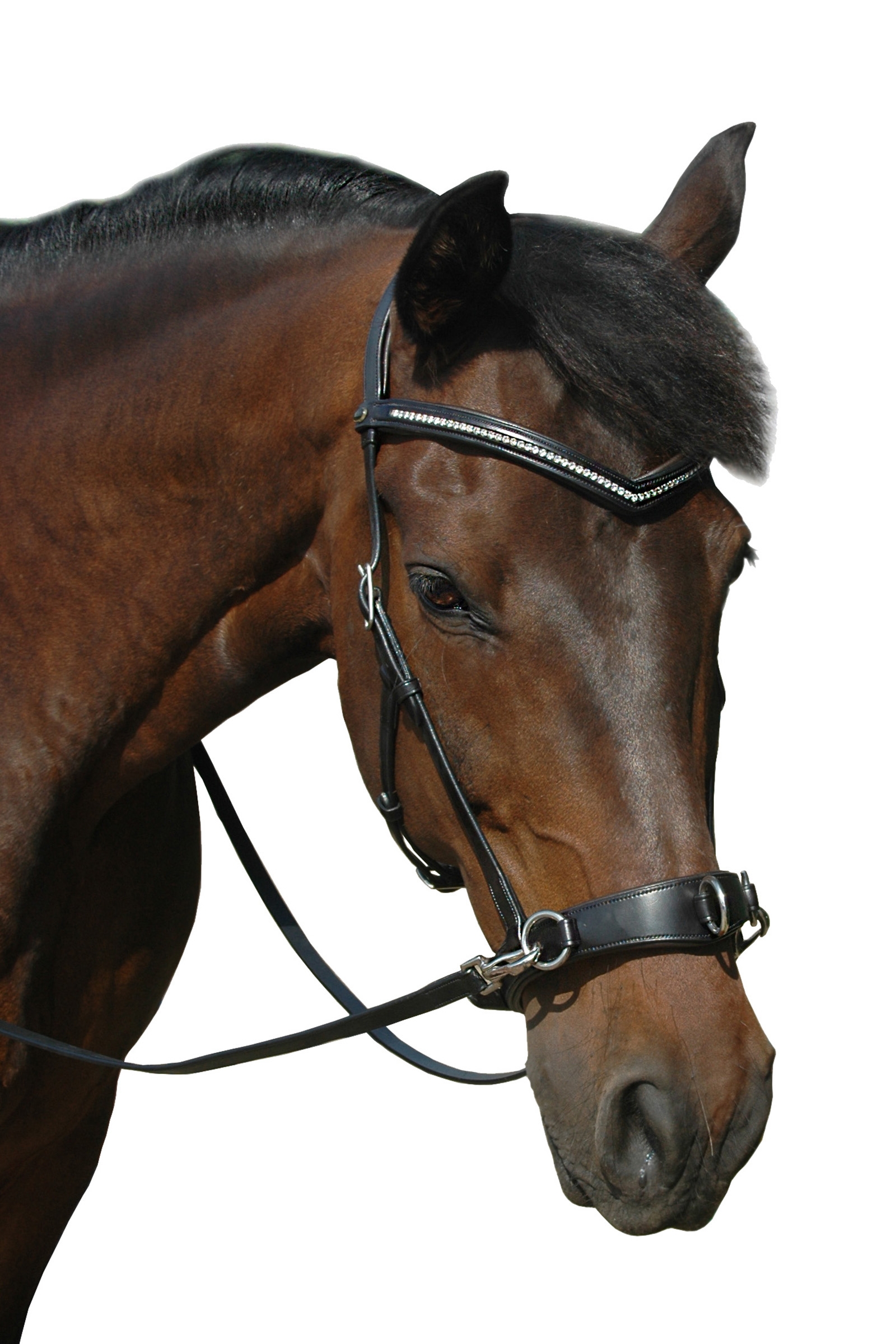 F.R.A. Freedom Riding Articles Wendy B Cavesson, ogłowie bez wędzidła, skórzane wodze z klipsem