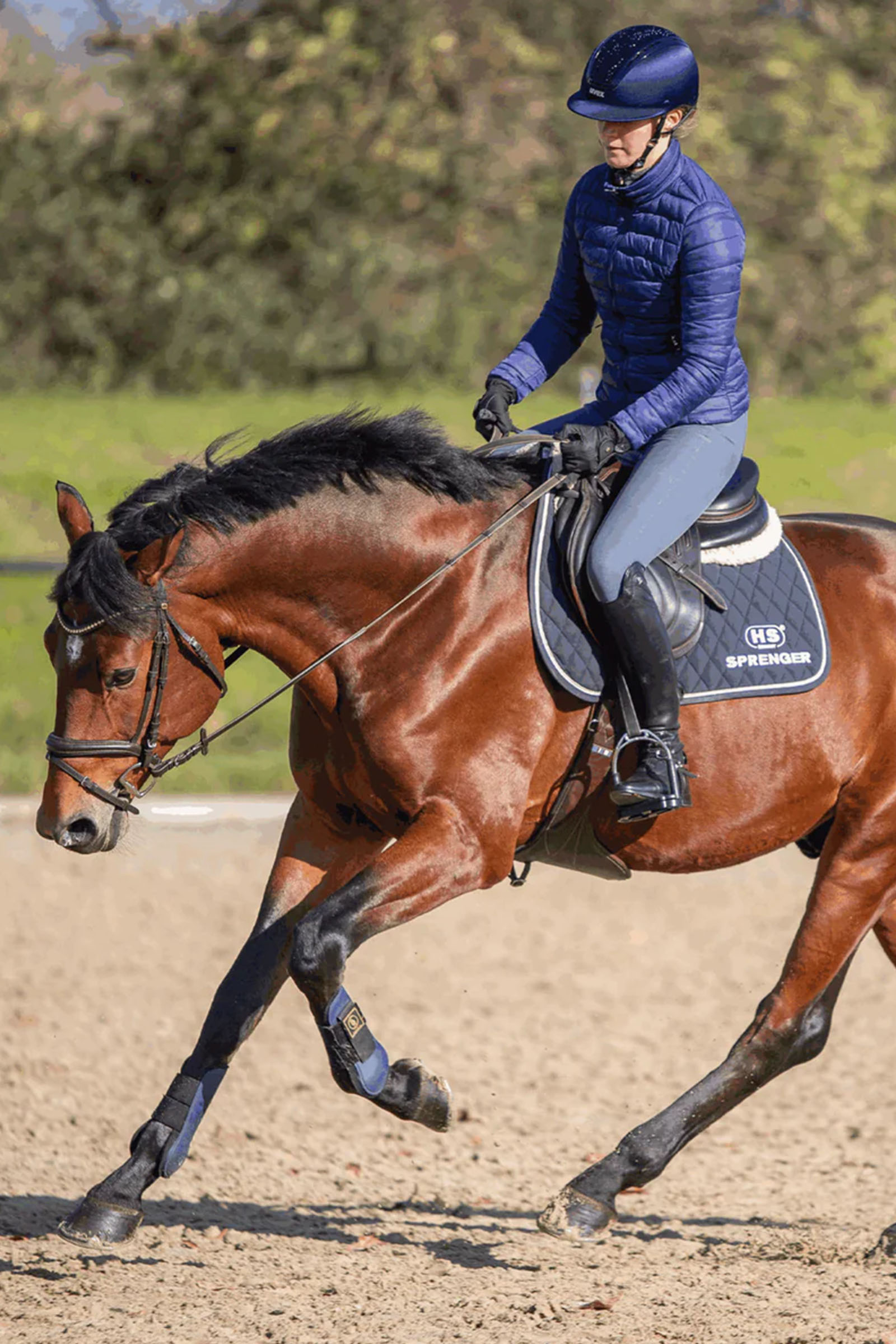 Sprenger Novocontact Olivehead Bit, Double Jointed