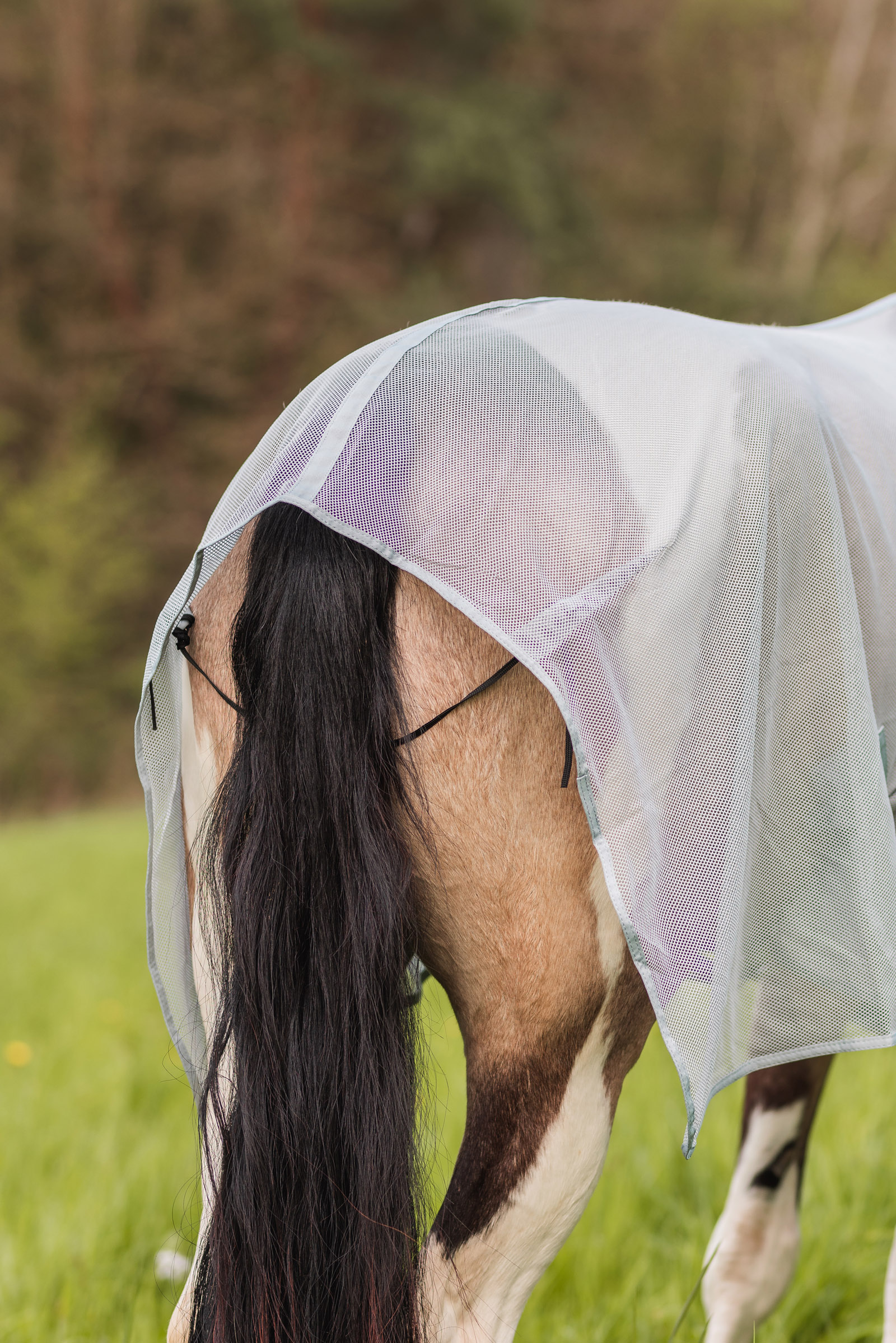 Derka przeciwko owadom Horze Orleans