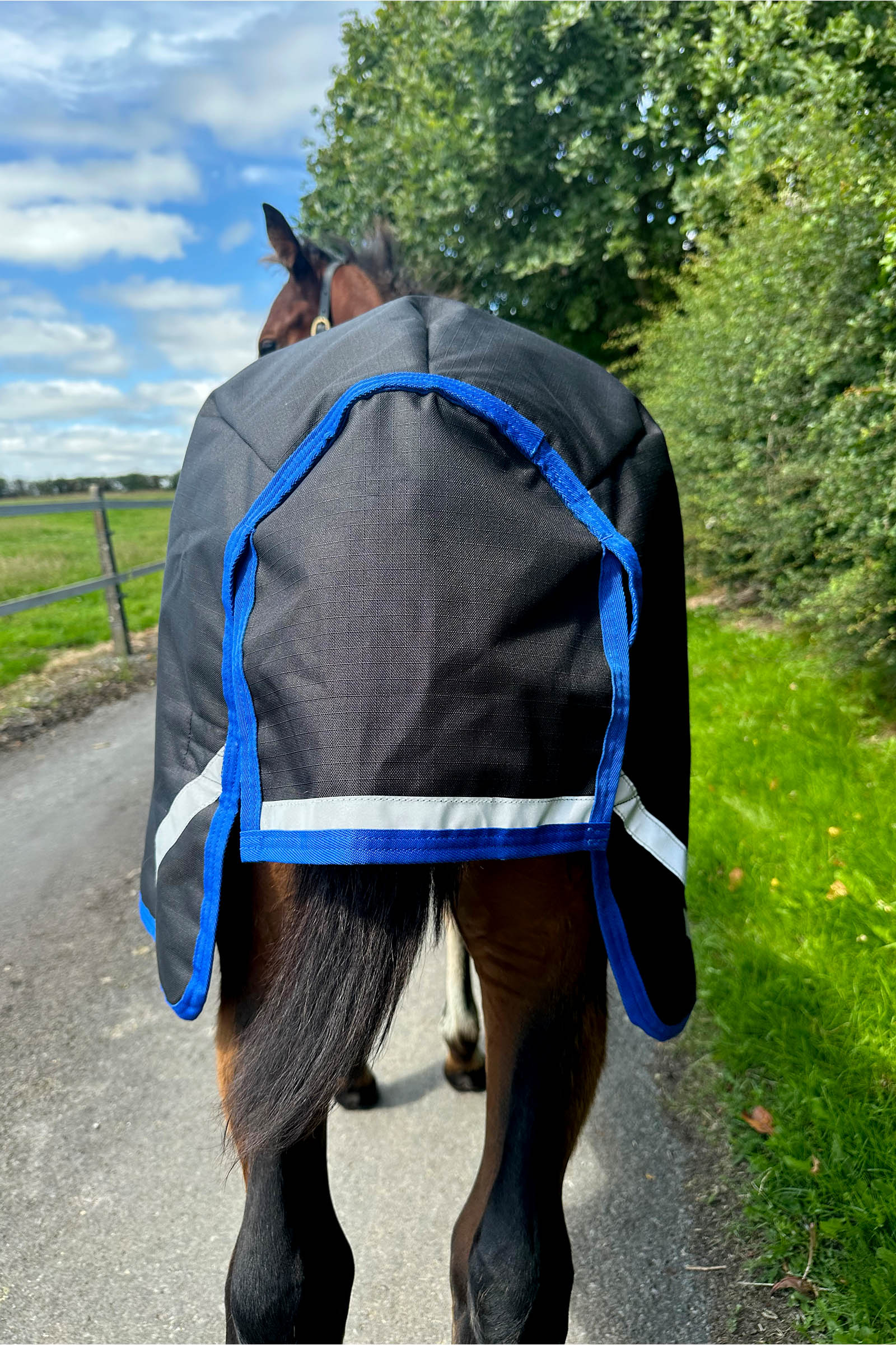 Horseware Amigo Ripstop 900D derka padokowa dla źrebiąt 200g