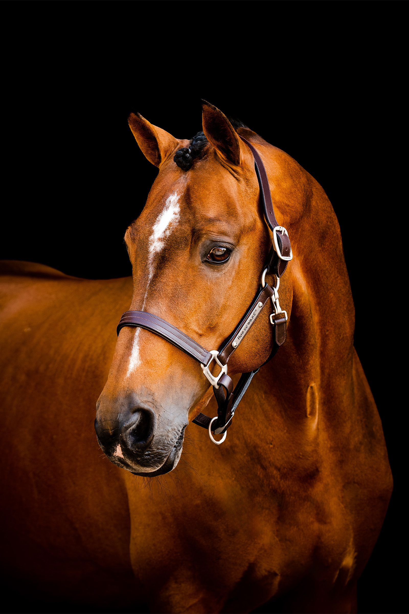 Sk&oacute;rzany halter Horseware Signature