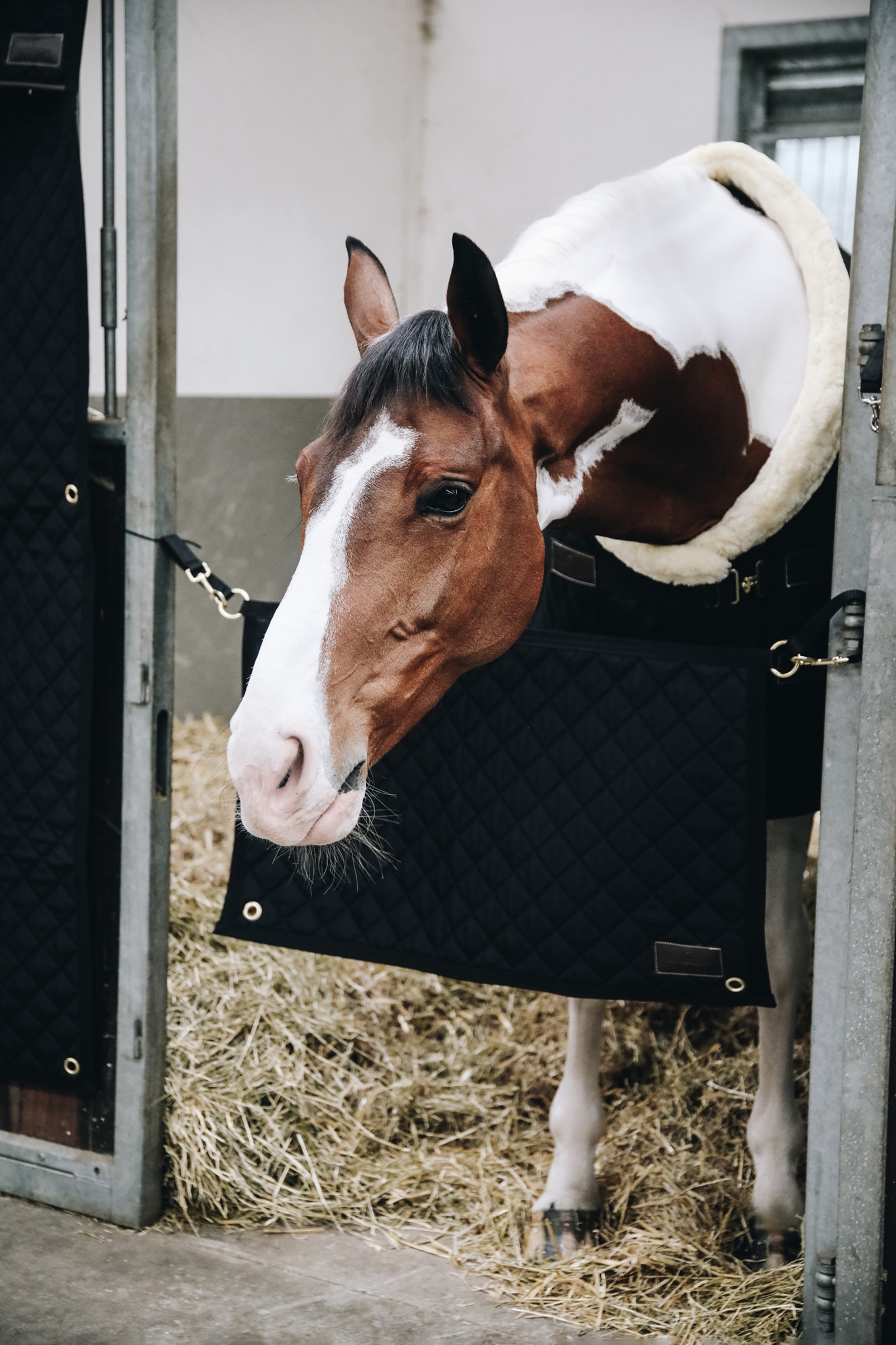 Bramka na boks Kentucky Horsewear Stable Guard