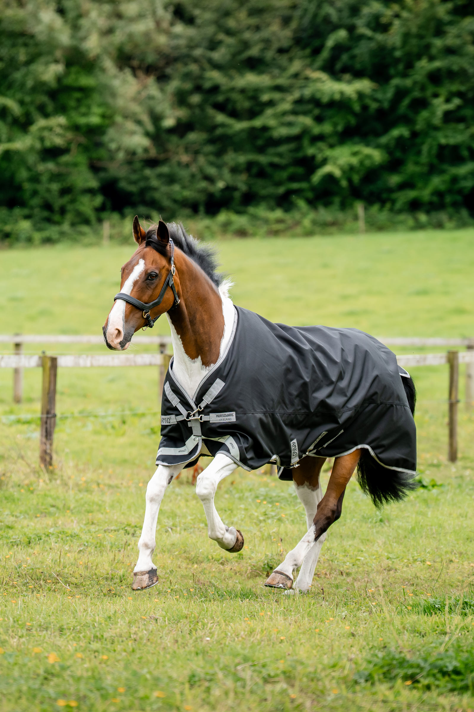 Horseware Amigo 1200D derka padokowa, 50 g