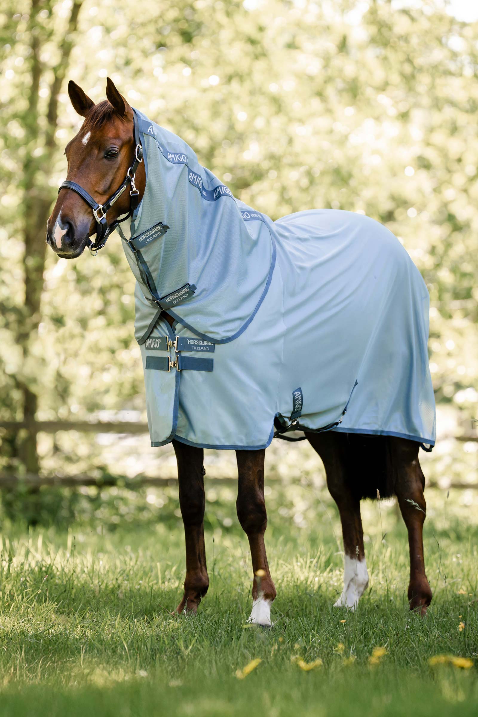 Horseware Amigo Derka przeciw owadom Plus