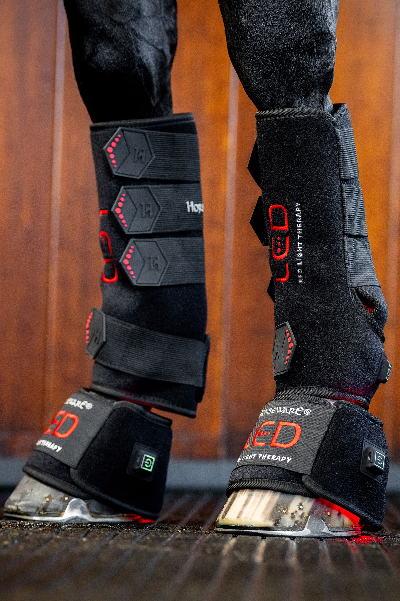 Horseware LED terapeutyczny ochraniacz z czerwonym światłem (1 szt.)