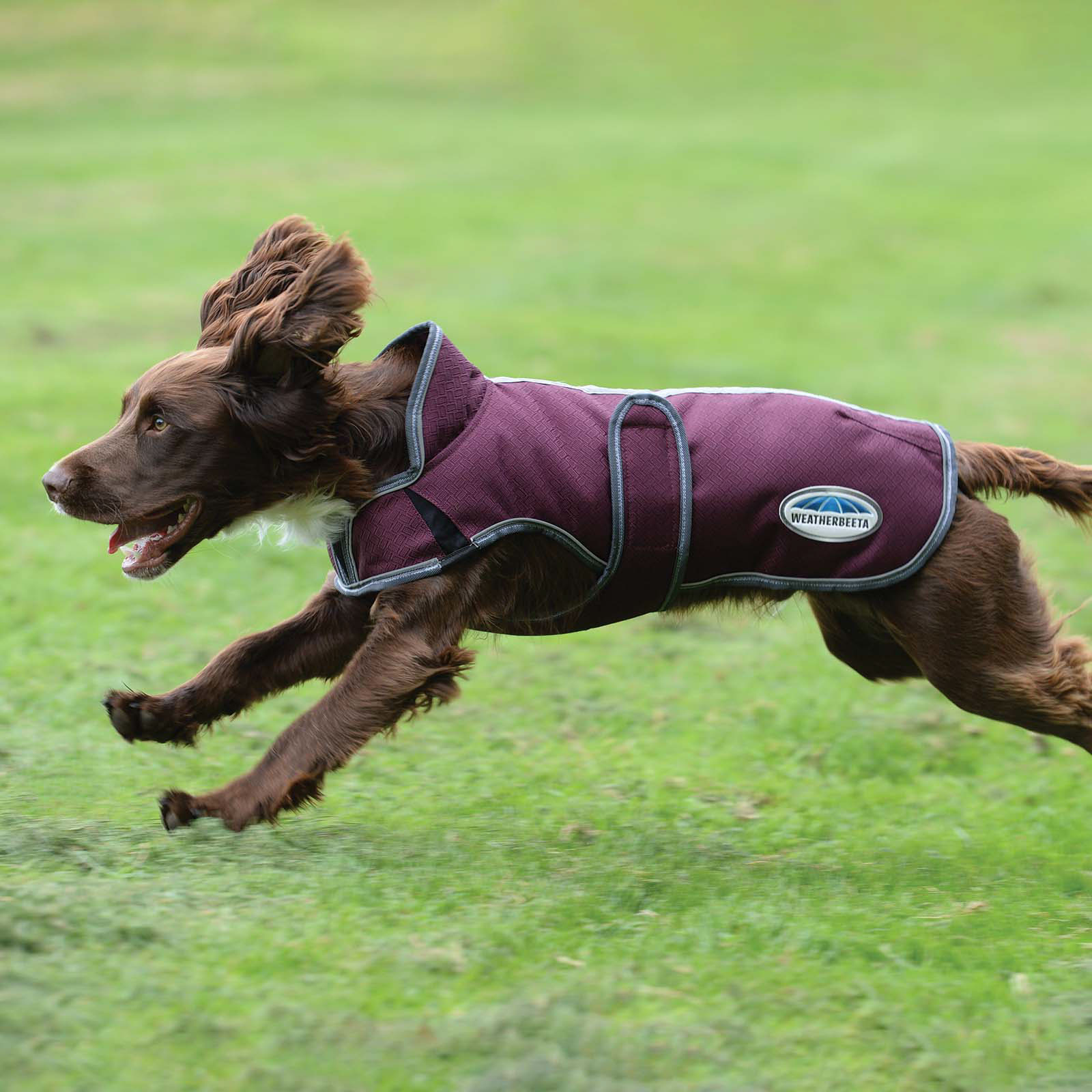 Weatherbeeta Comfitec Premier Free Parka Deluxe Ubranko dla psa, 220g