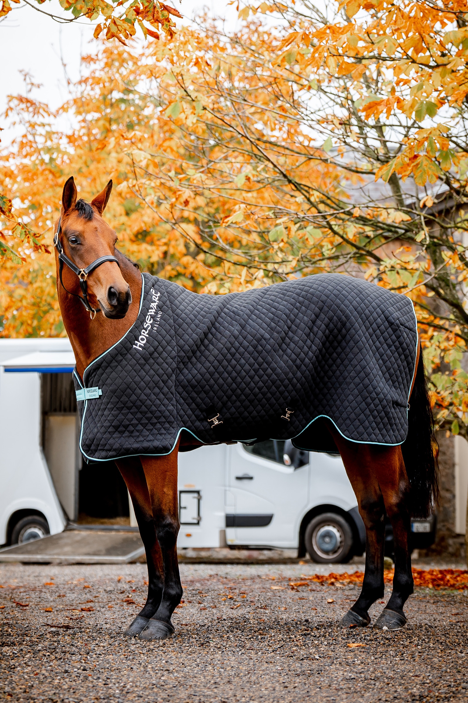 Black/Aqua Horseware Derka polarowa na jesień