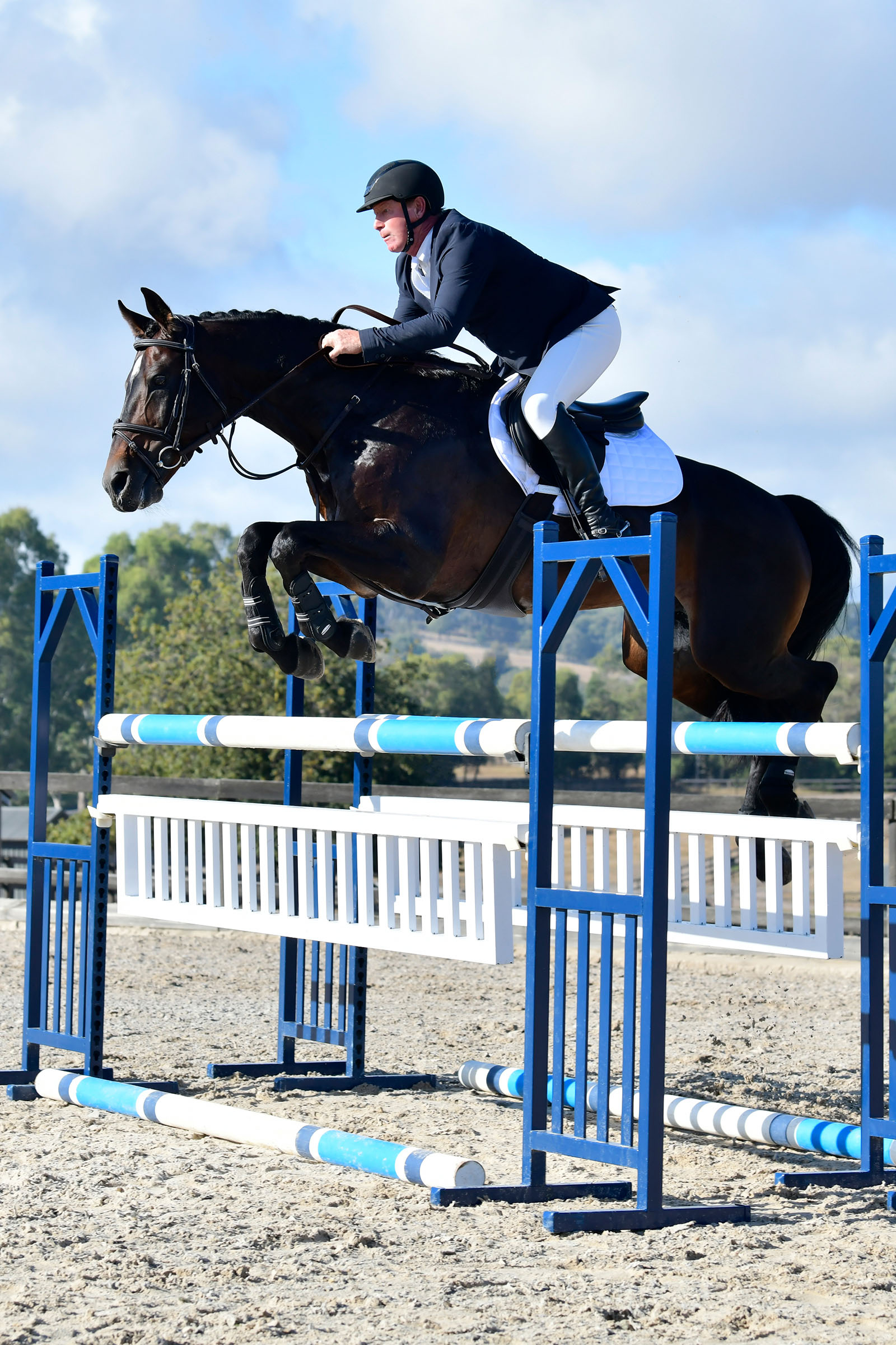 Collegiate Comfitec Opulux Fancy Stitch wyściełany nachrapnik hanowerski