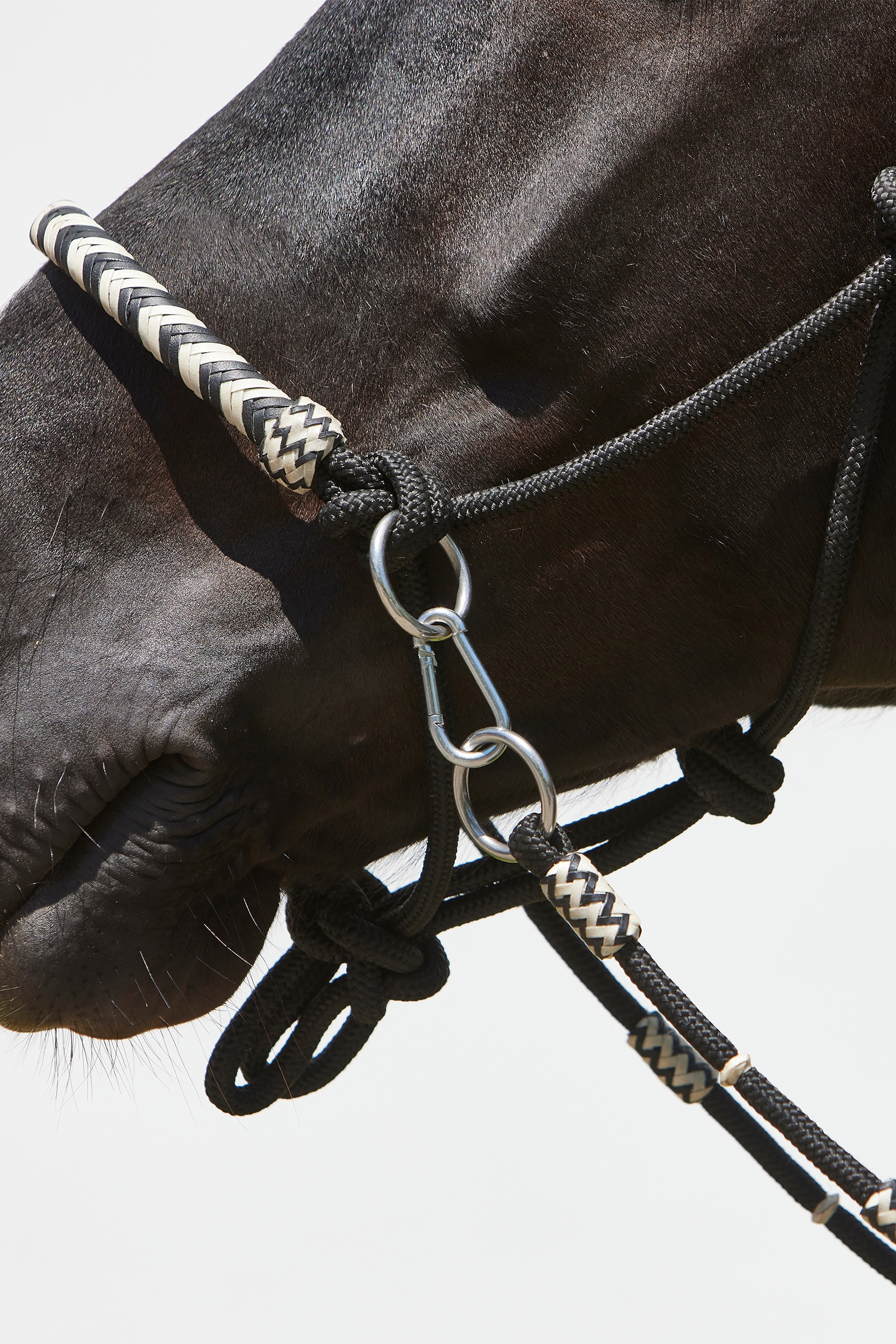 Kantar ze sznurka Kieffer Enya