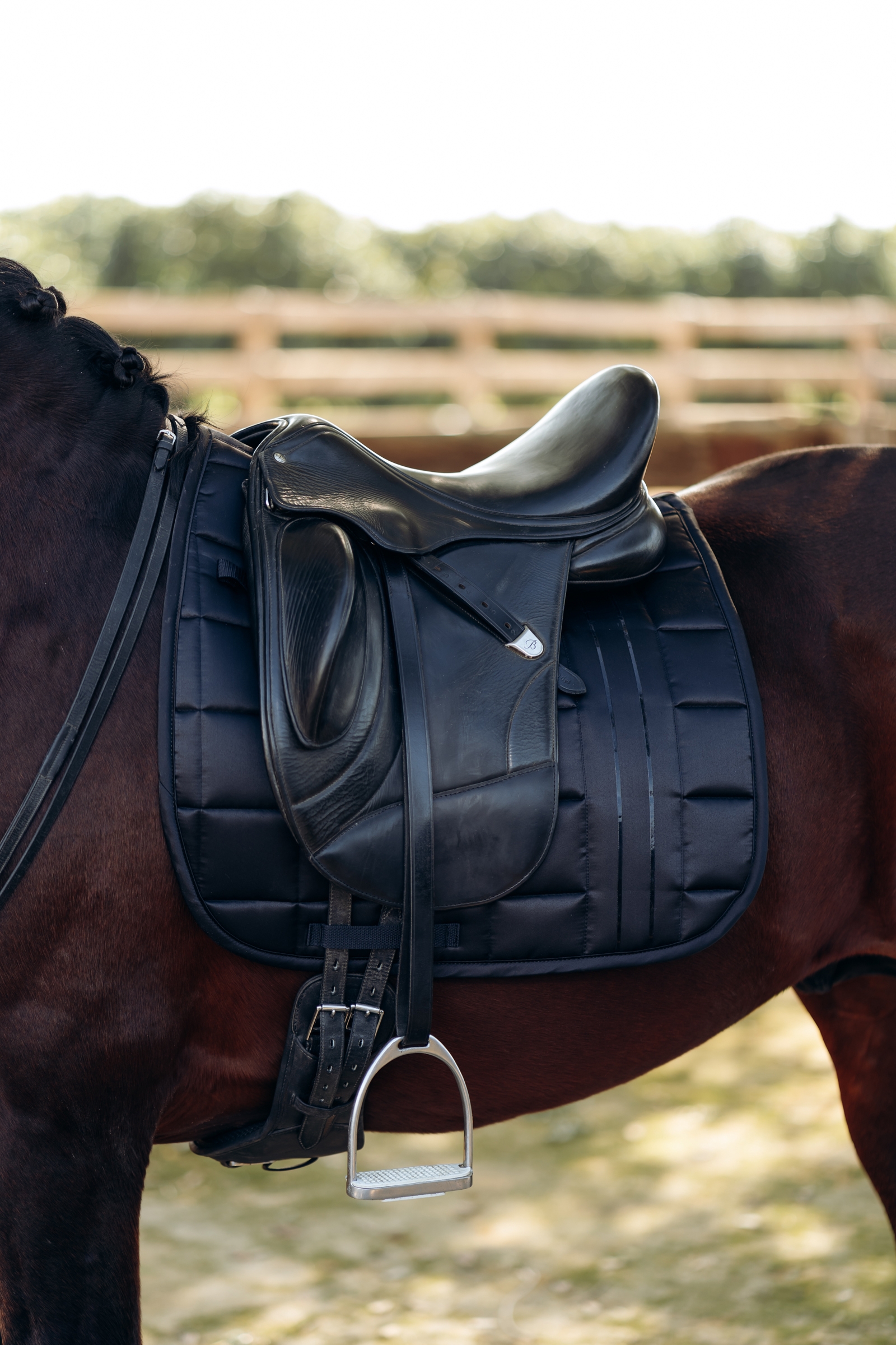 B Vertigo Drew Czaprak ujeżdżeniowy