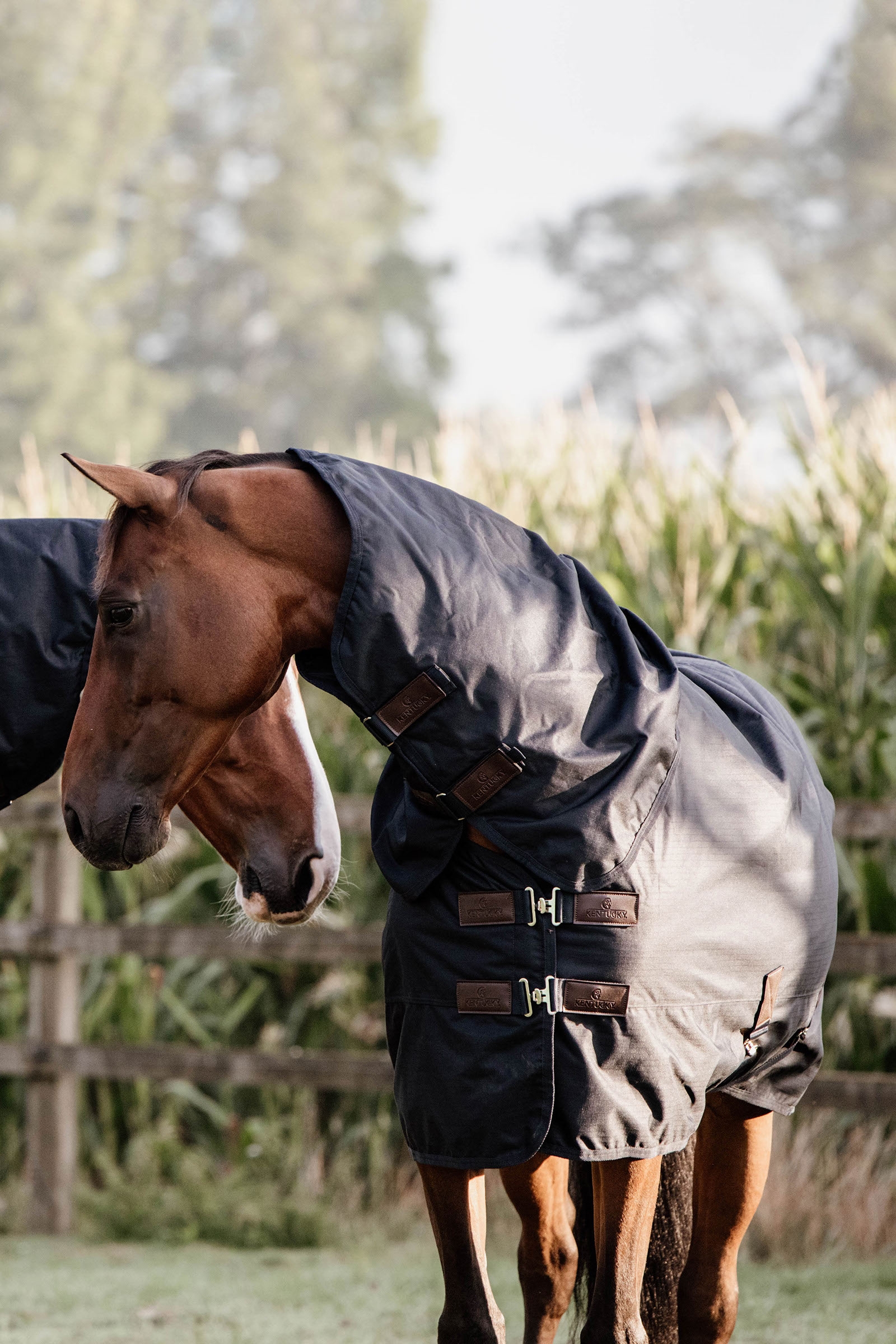 Wodoodporna derka padokowa Kentucky Horsewear All Weather Waterproof Classic, 0g