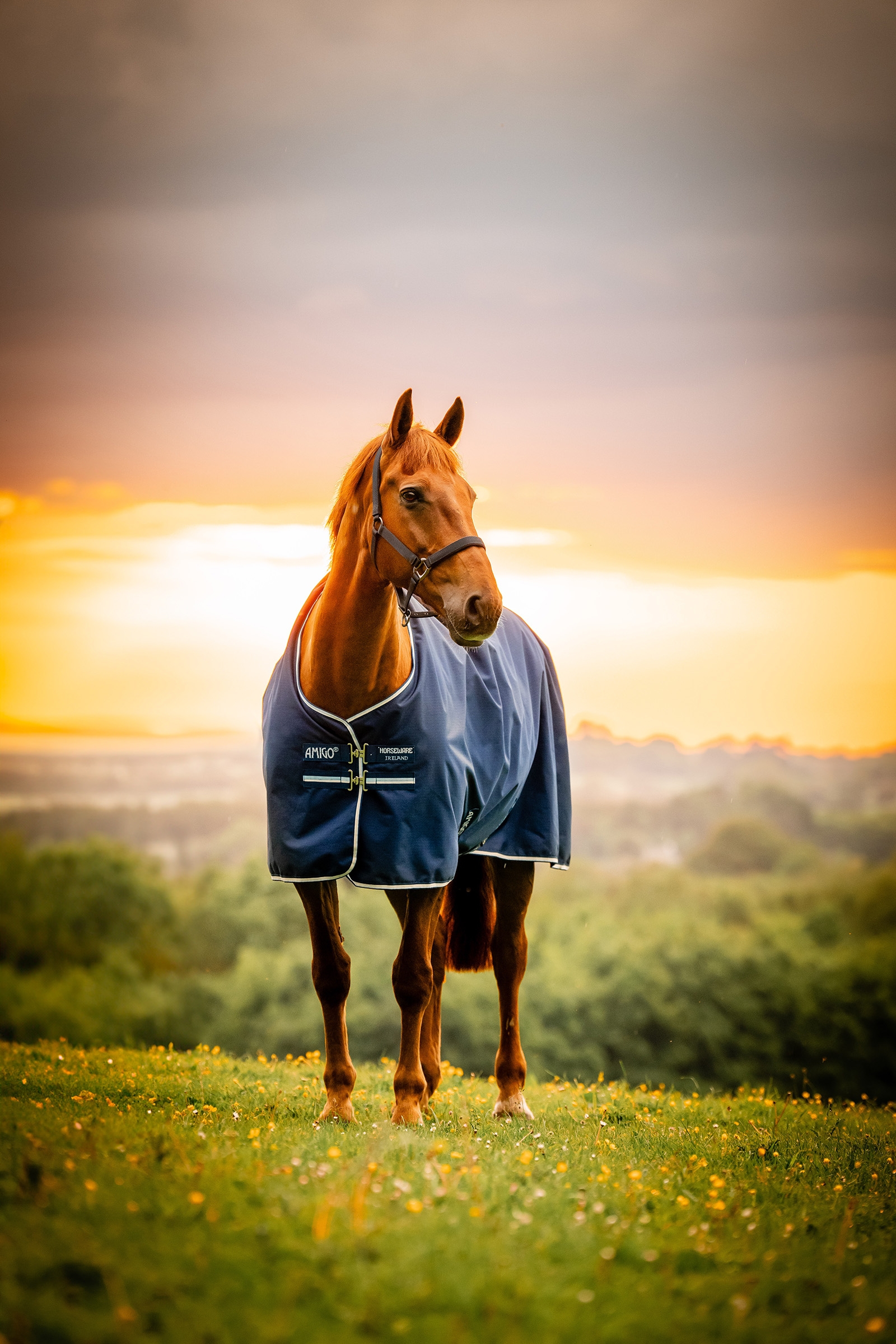 Witney Navy Horseware Amigo Ripstop 900D derka padokowa z podszyciem polarowym, 50 g