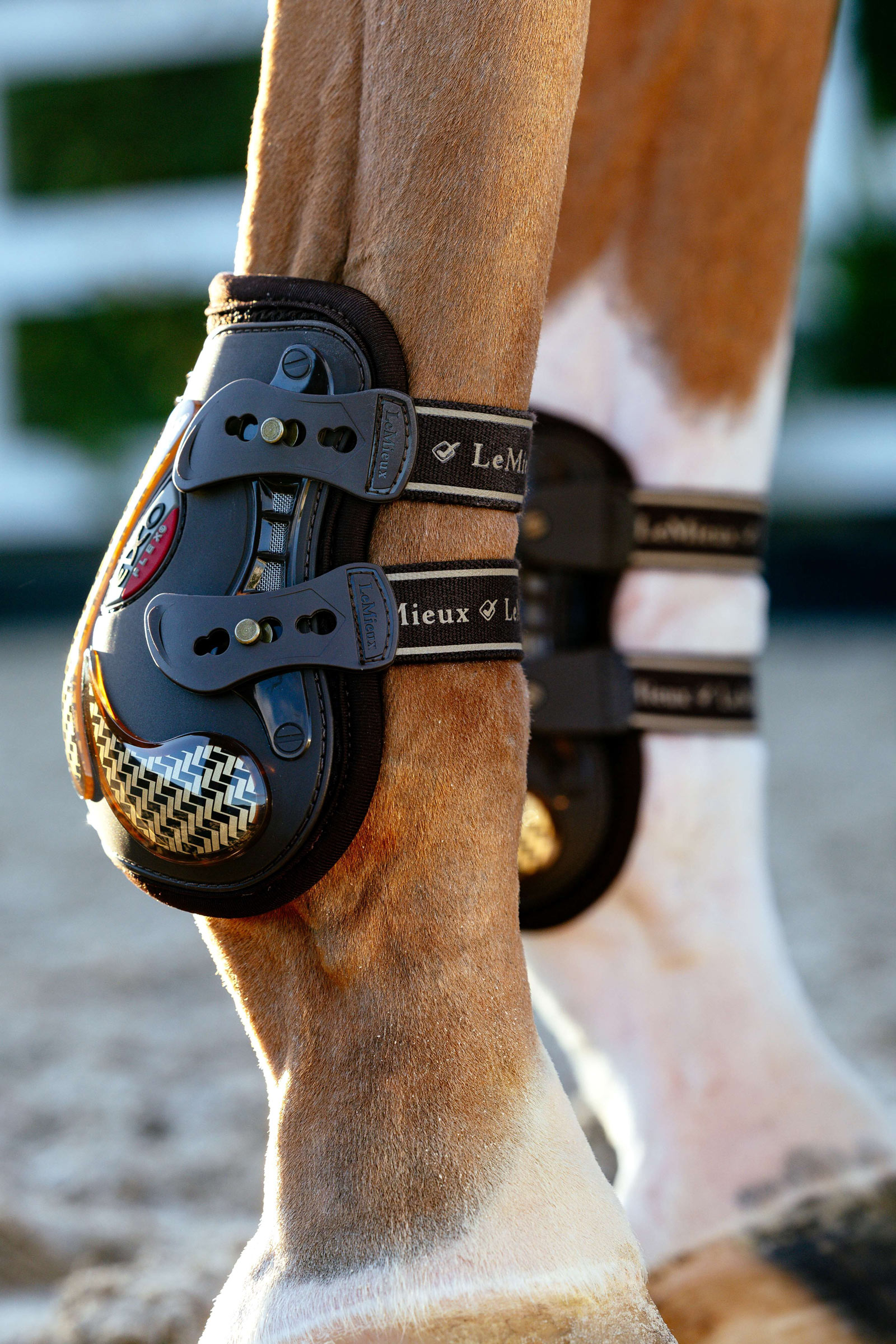 Botki LeMieux EXO Flex