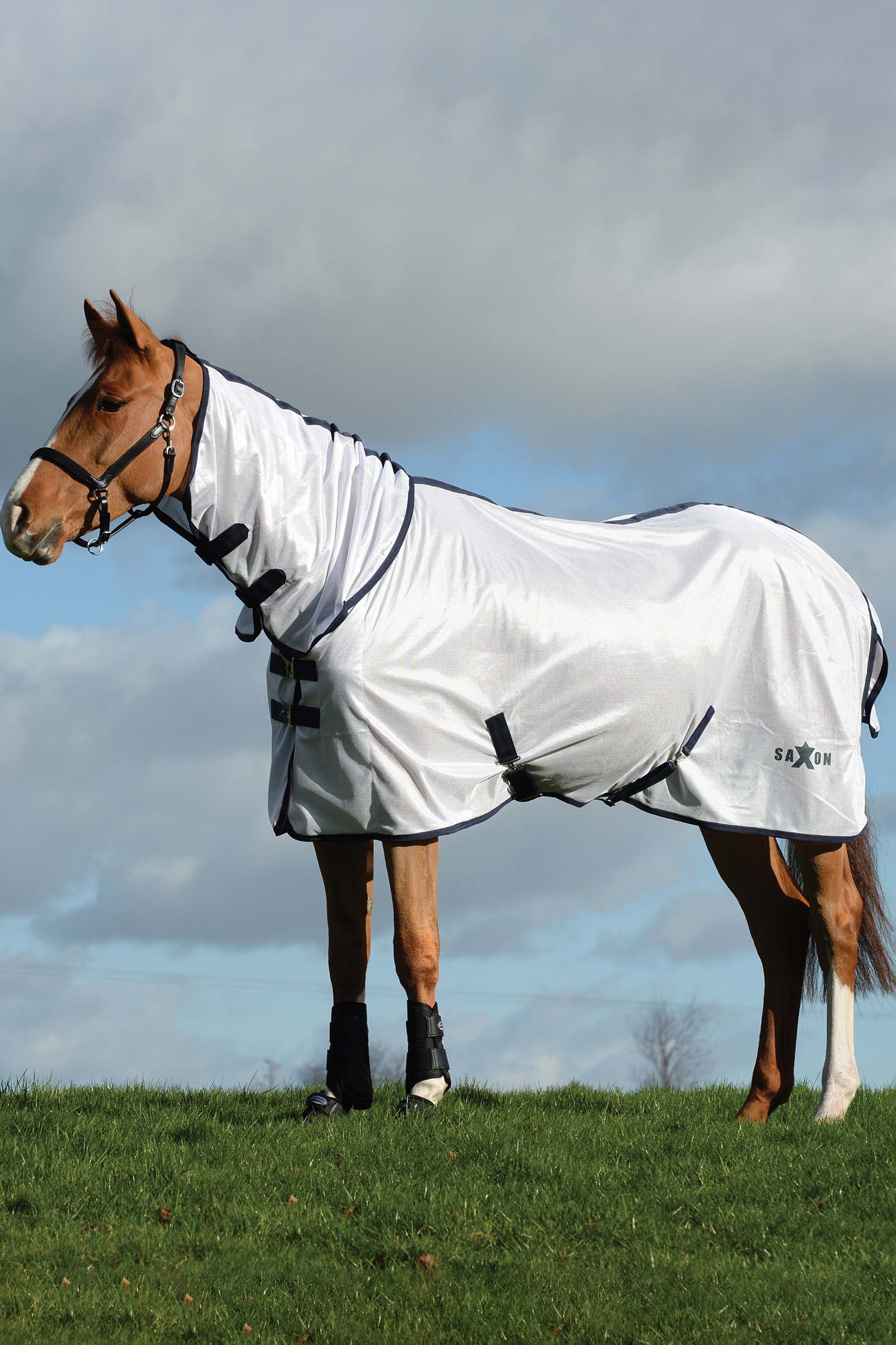 Saxon Mesh Combo Derka z nieodpinanym kapturem