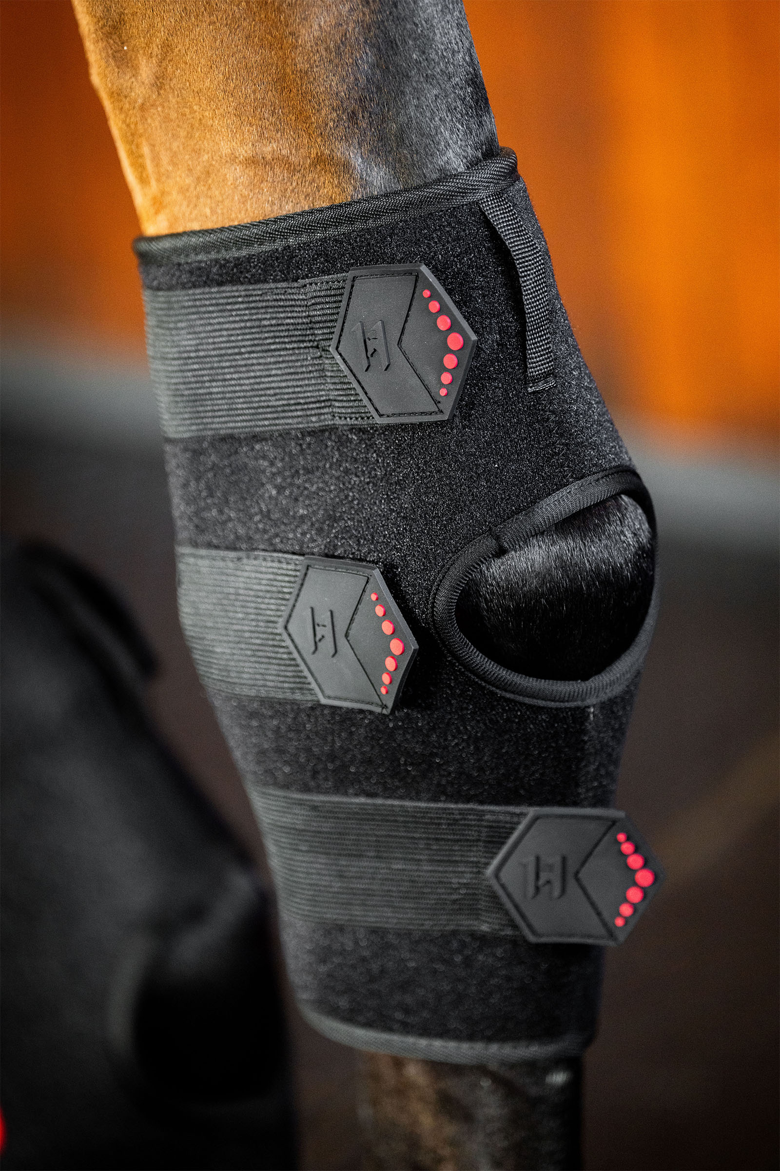 Horseware LED terapeutyczny ochraniacz na staw skokowy z czerwonym światłem (1 szt.)