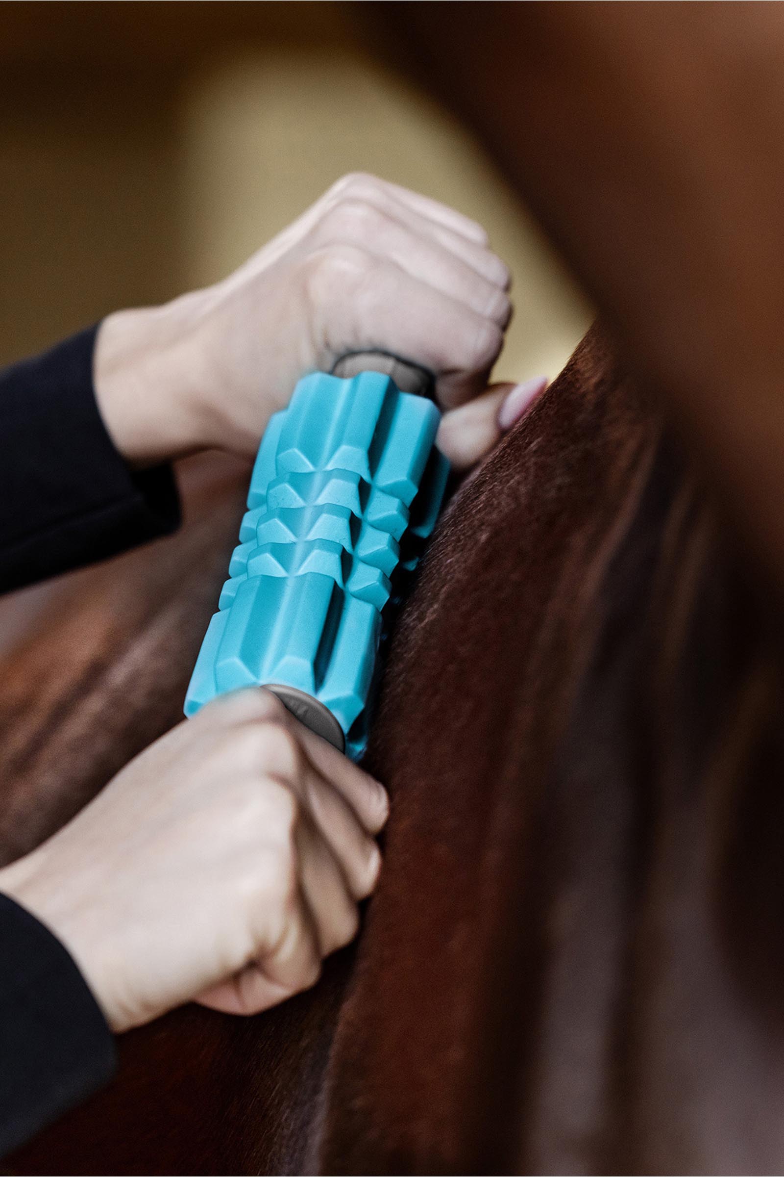 Waldhausen Health + Care Faszien Fit