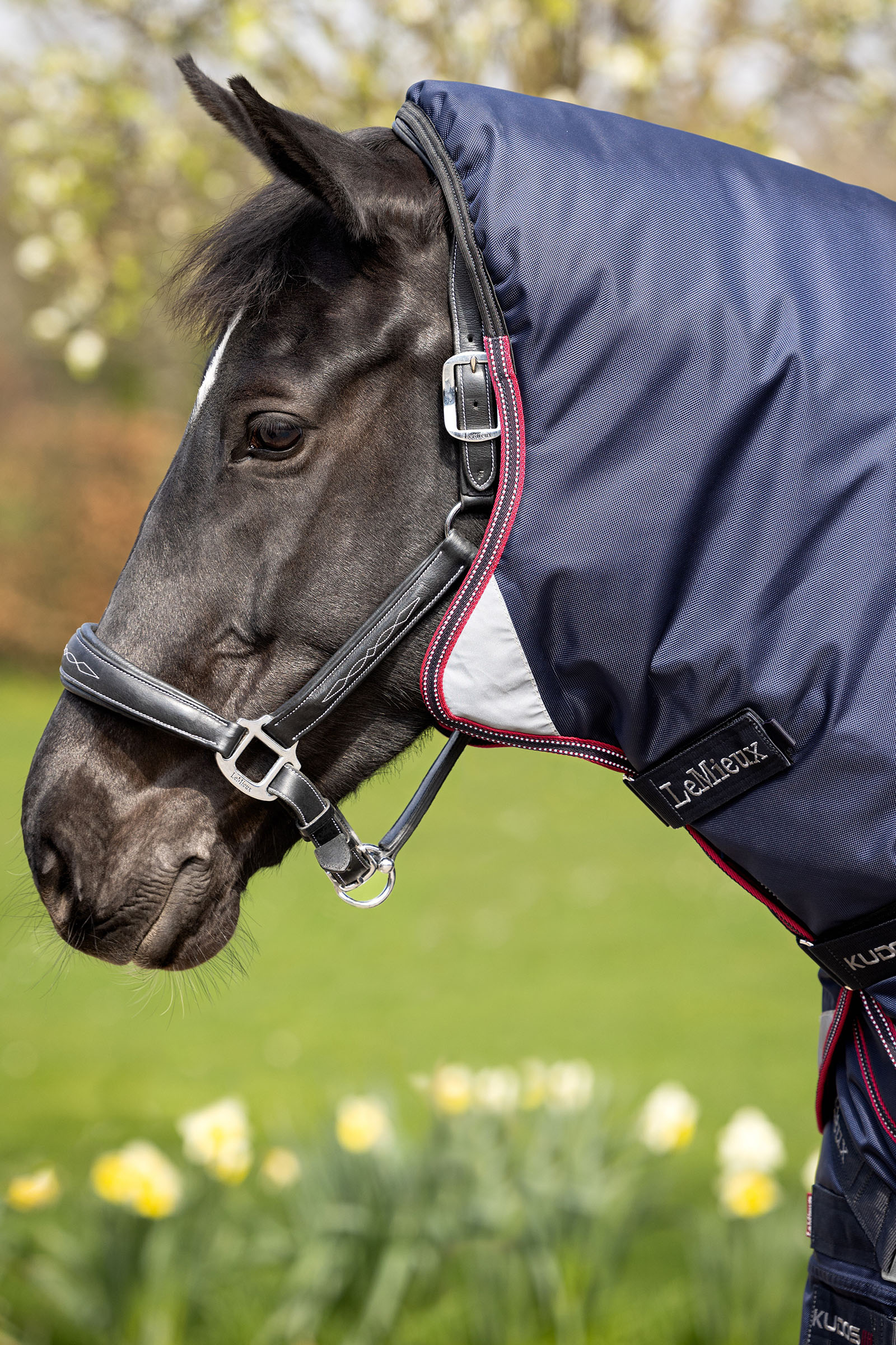 LeMieux Kudos Thermo Layer derka padokowa 100g