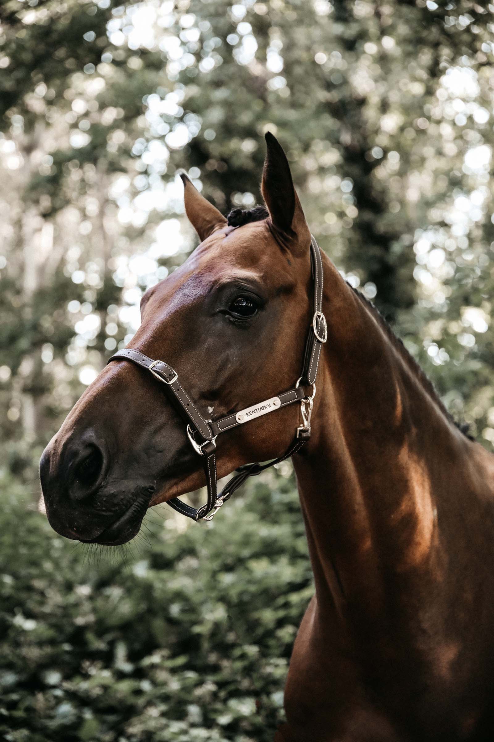 Kentucky Horsewear Flexible Kantar skórzany część szyjna