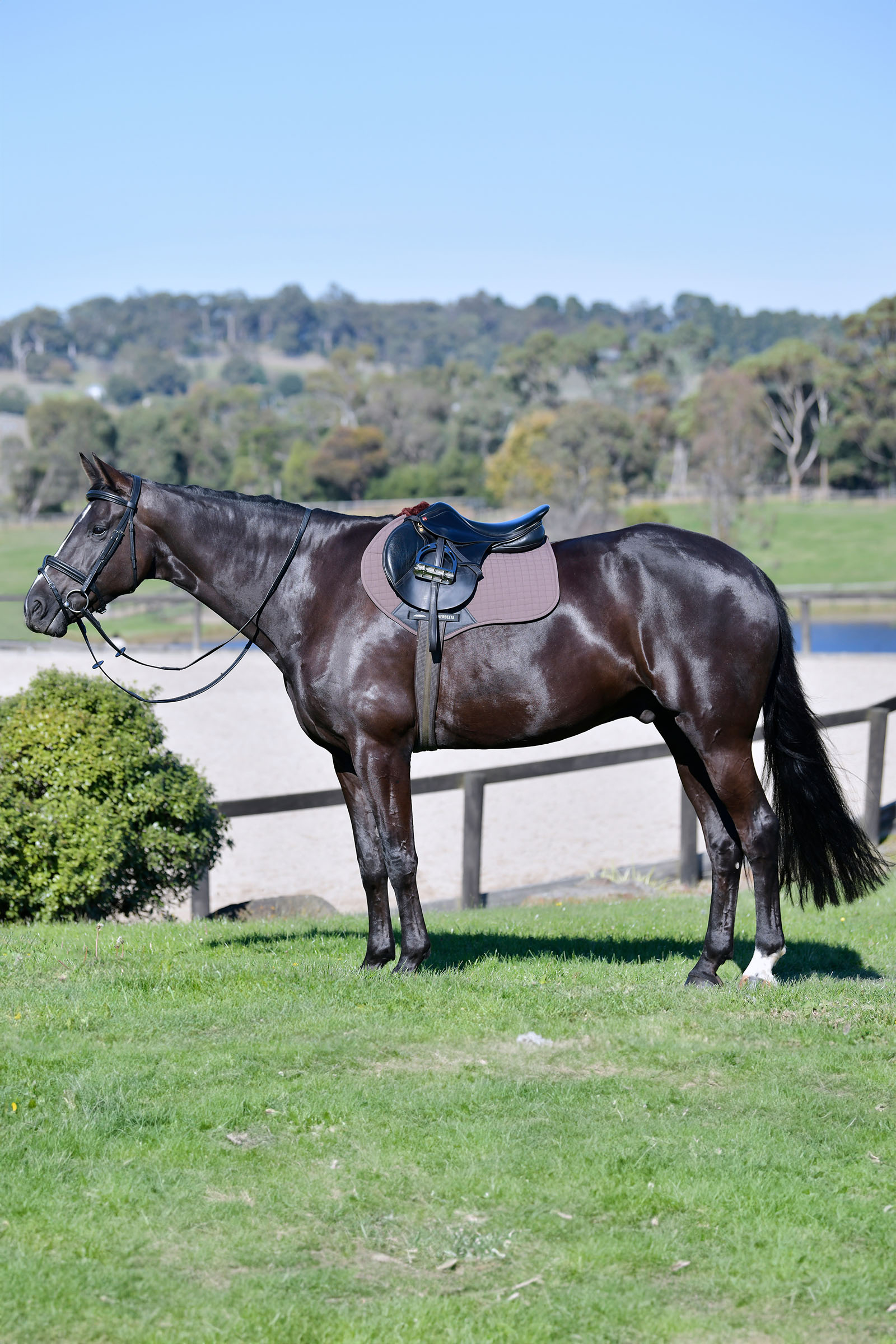 Weatherbeeta Prime Comfy Fleece czaprak skokowy