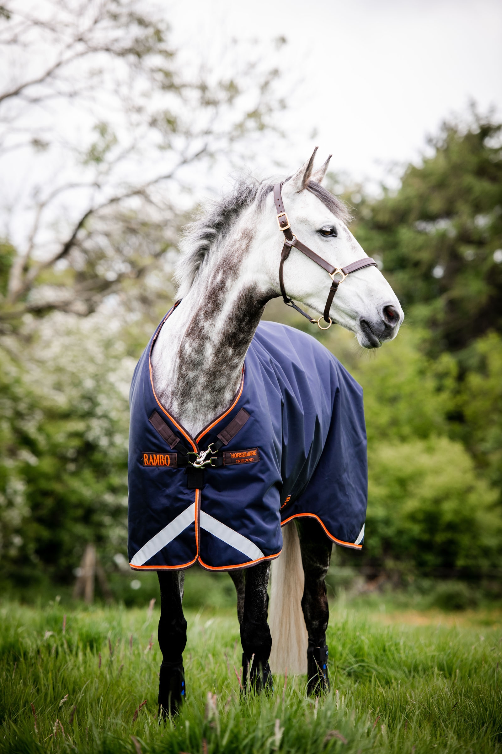 Derka padokowa Horseware Rambo Original z wycięciami na nogi, 100 g