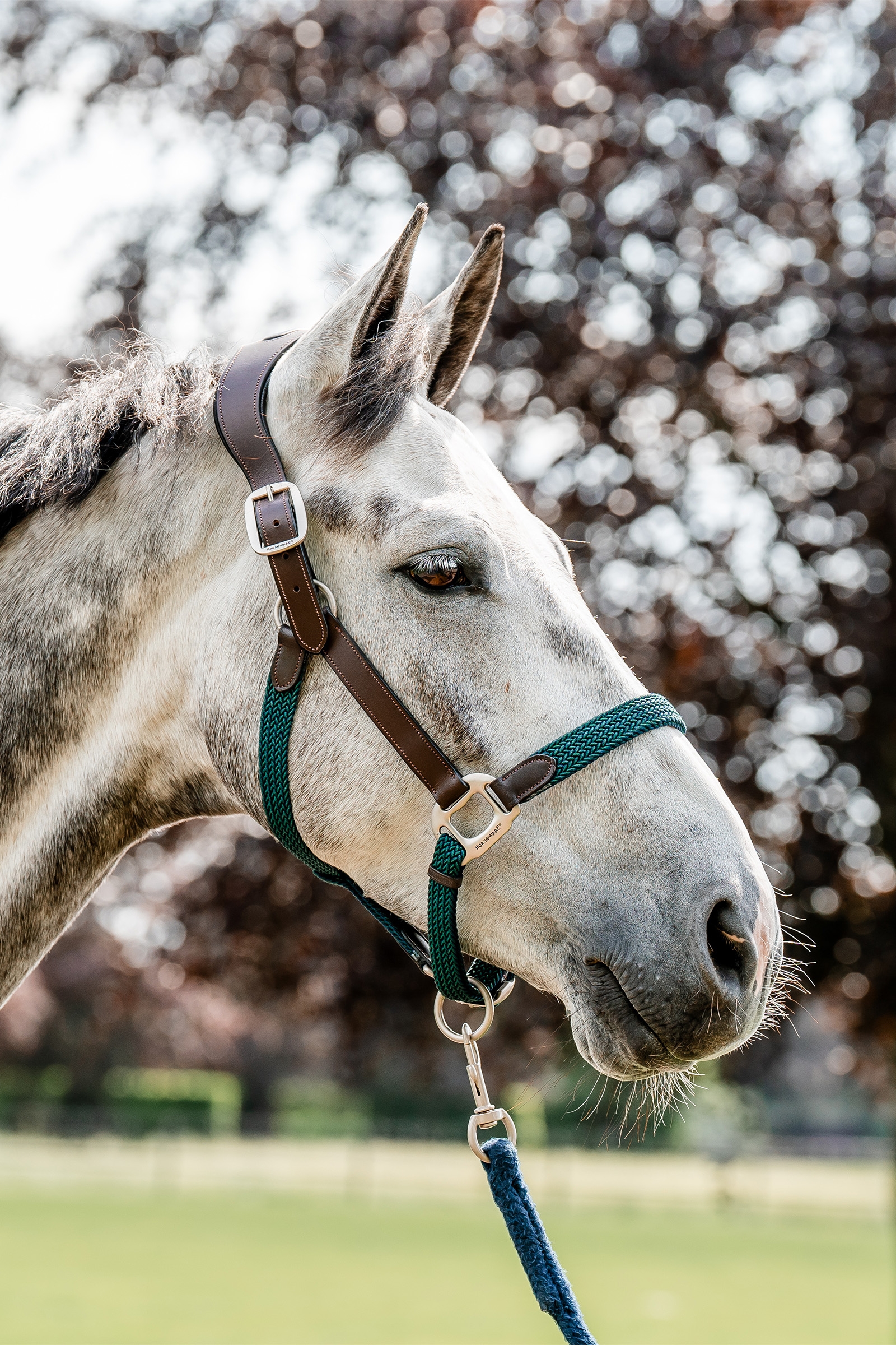 Pleciony kantar Horseware Signature