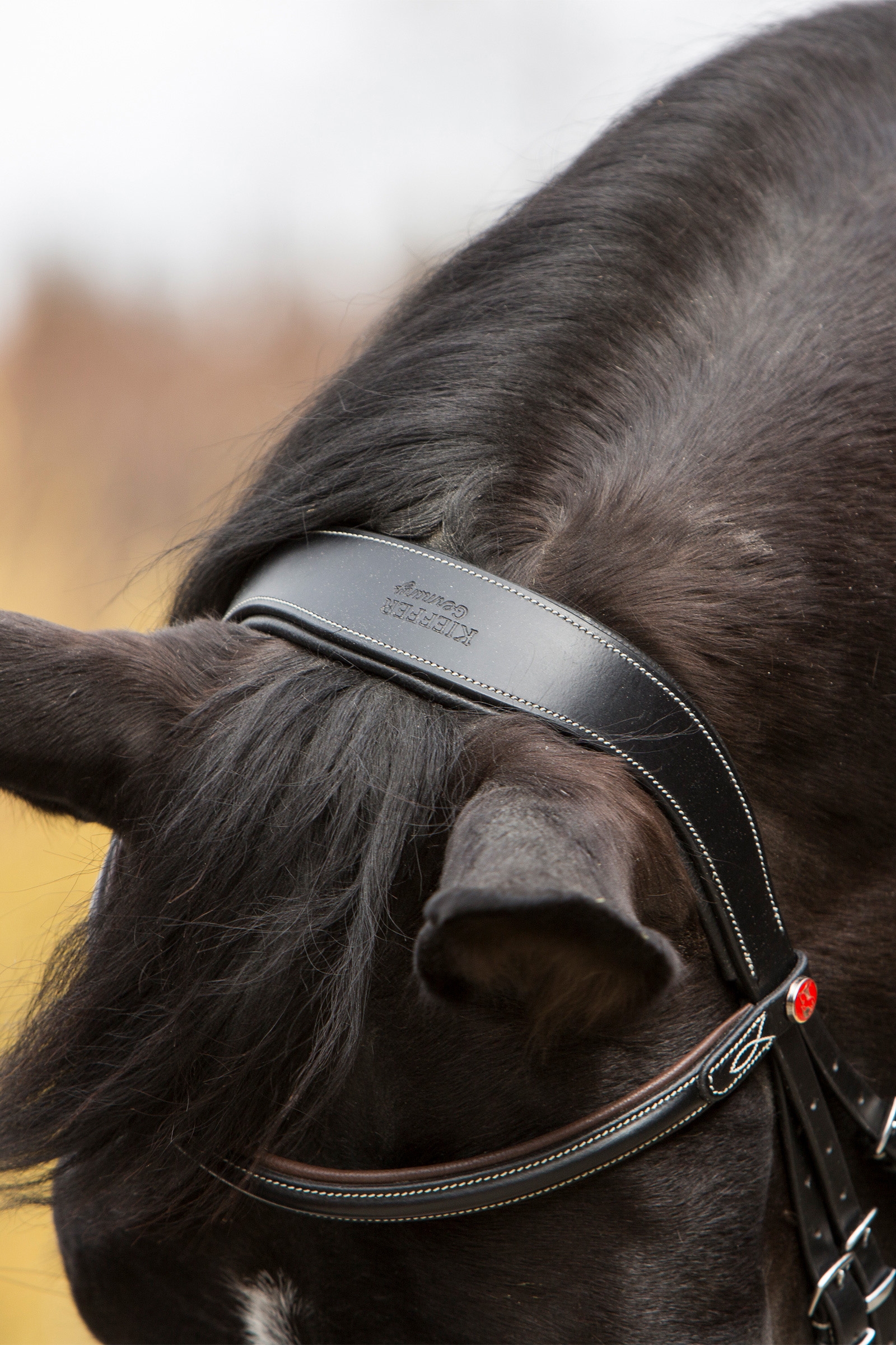 Ogłowie Kieffer Vera