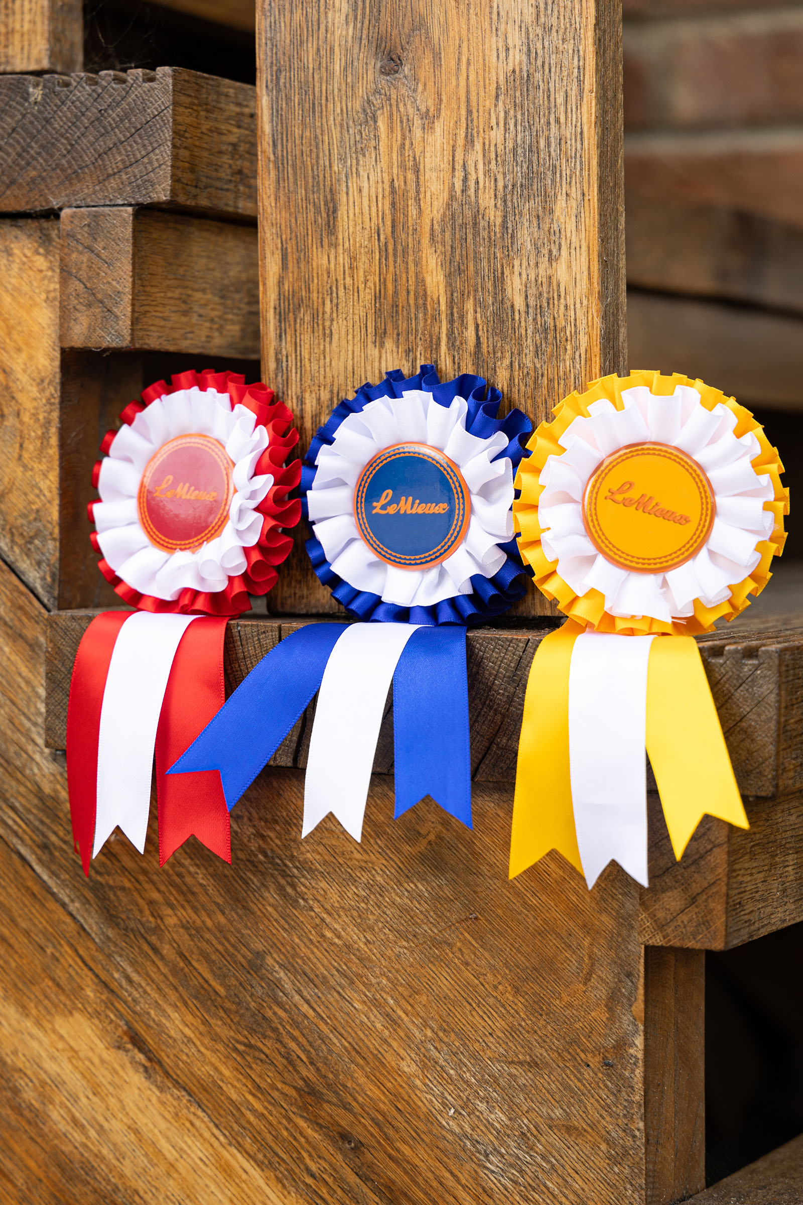 LeMieux Hobby Horse zestaw rozet