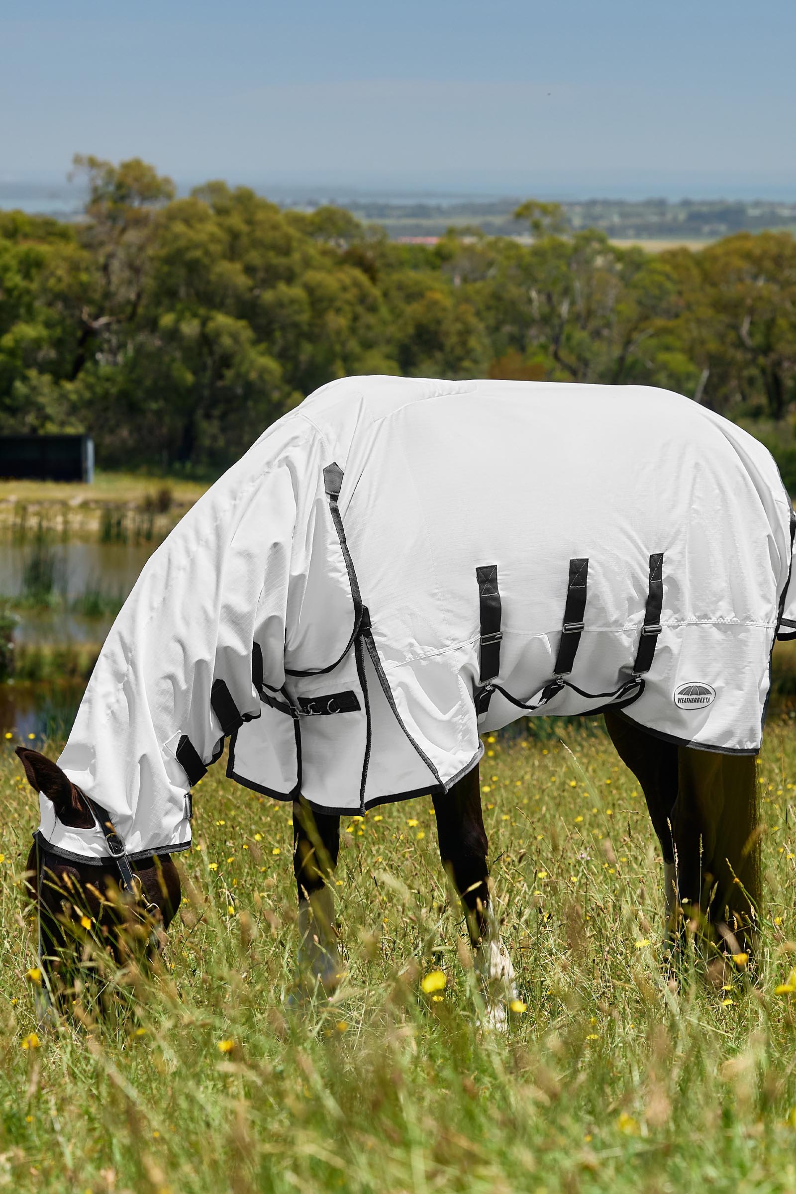 Weatherbeeta ComFiTec Sweet Itch Shield Derka przeciw muchom combo ze stałą szyją, 0 g  