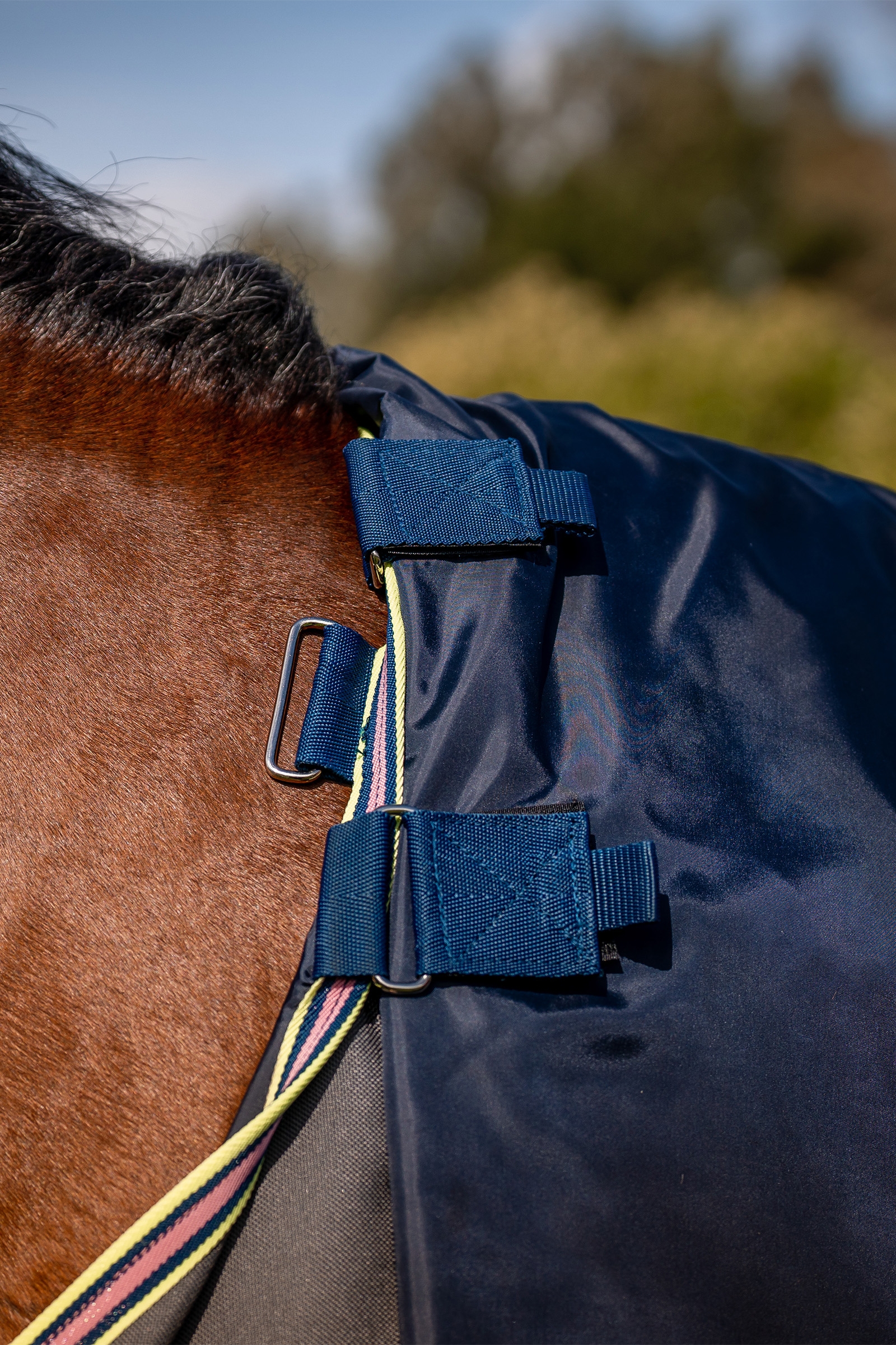 Horseware Amigo Bravo 12 Plus derka padokowa z odpinanym szyją, 0g