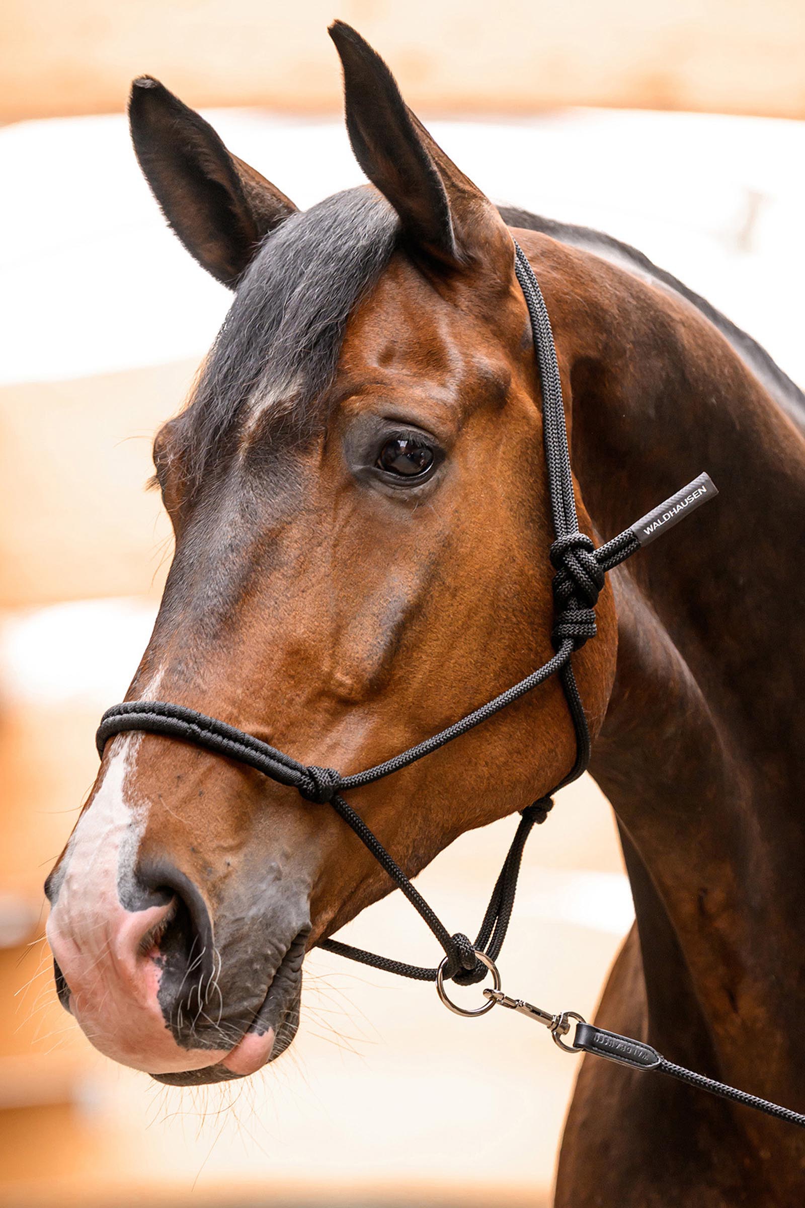 Waldhausen kantar sznurkowy z ruchomym pierścieniem