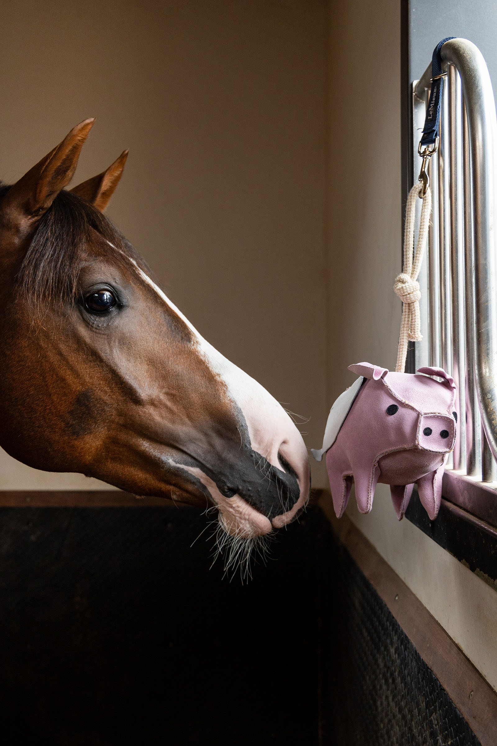 LeMieux zabawka dla konia latająca świnka