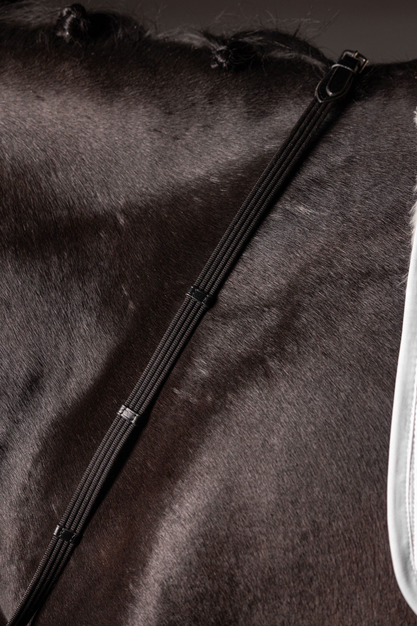 LeMieux Continental wodze z taśmy