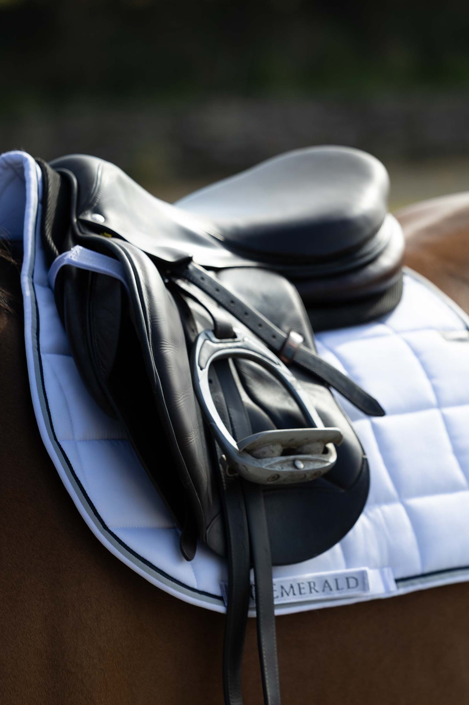 White/ Stripe Bucas Emerald All Purpose Saddle Pad