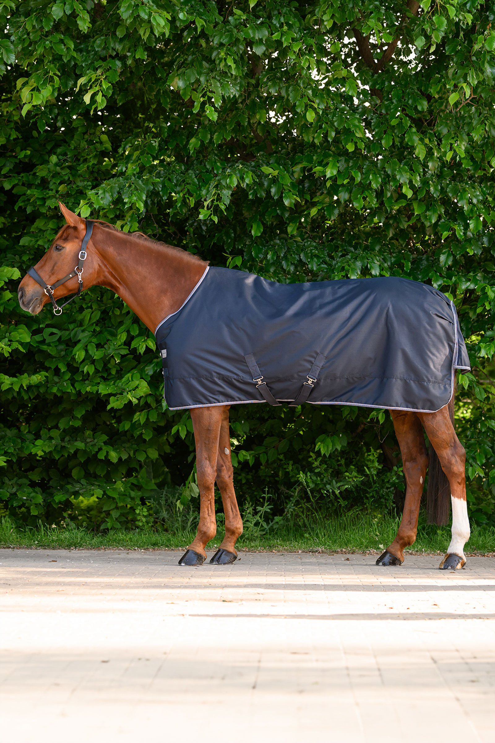 Waldhausen ECONOMIC lekka derka padokowa