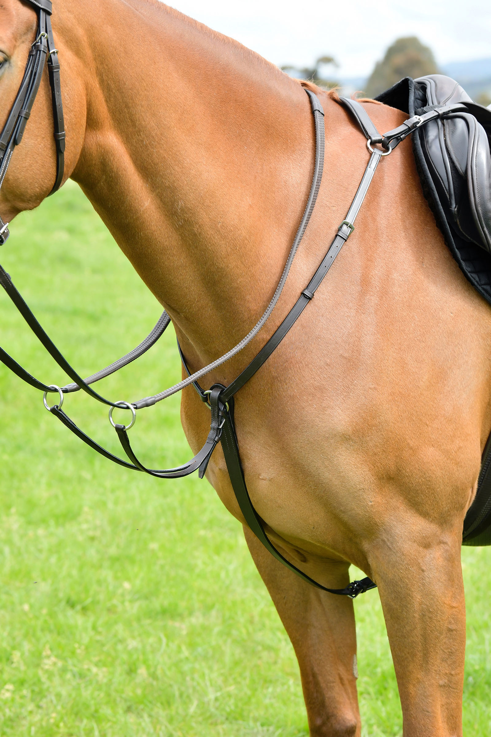 Kincade Classic 3-punktowy napierśnik z martingalem biegowym